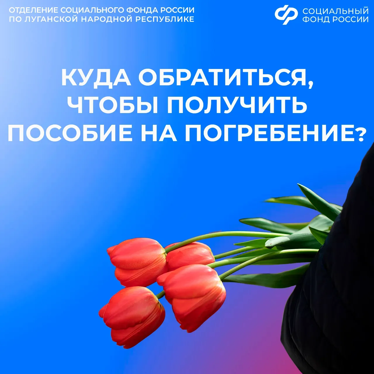 Куда обращаться жителям ЛНР за пособием на погребение  💰Размер выплаты в ЛНР сегодня не превышает 9 