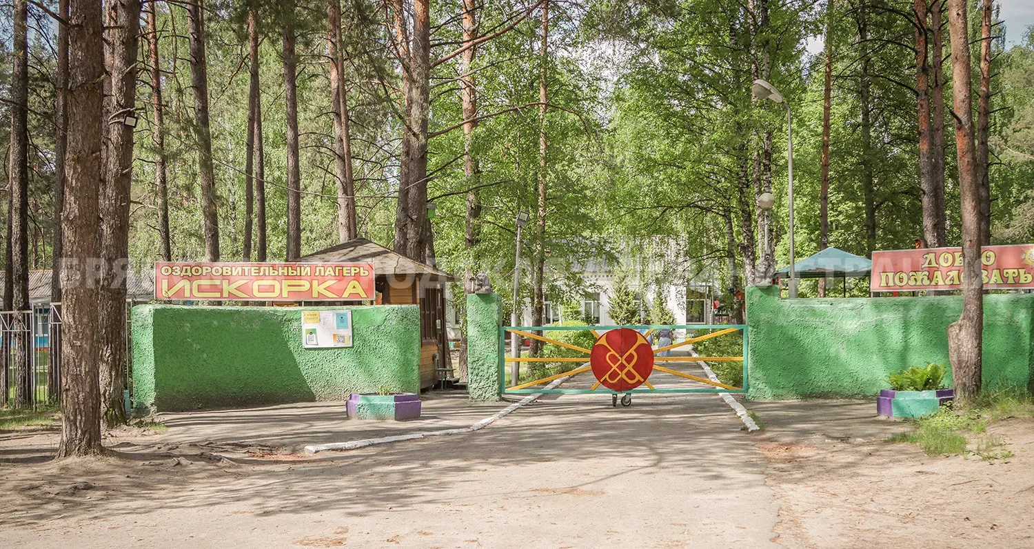 Александр Макаров поможет «Искорке»  Глава Брянской городской администрации Александр Макаров посети