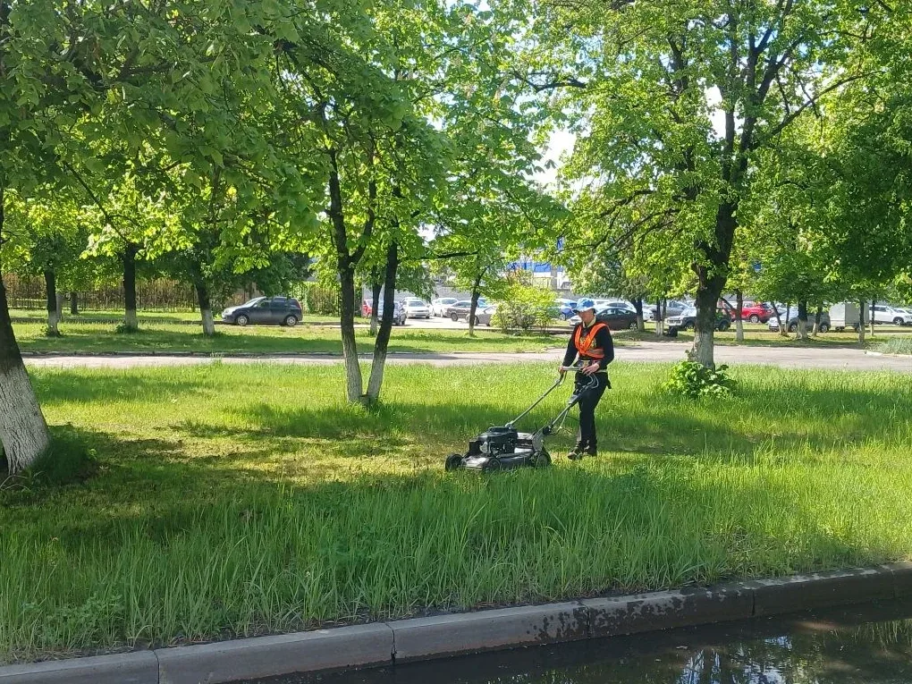 В Брянске начался сезон активных покосов  Несколько дождливых дней и последовавшее за ними потеплени