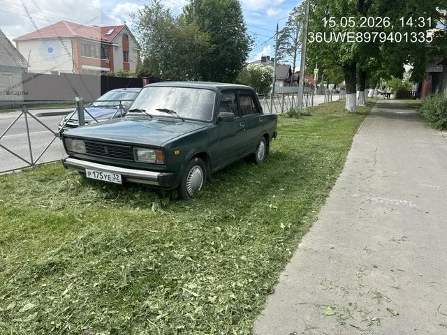 В Брянске начался сезон активных покосов  Несколько дождливых дней и последовавшее за ними потеплени