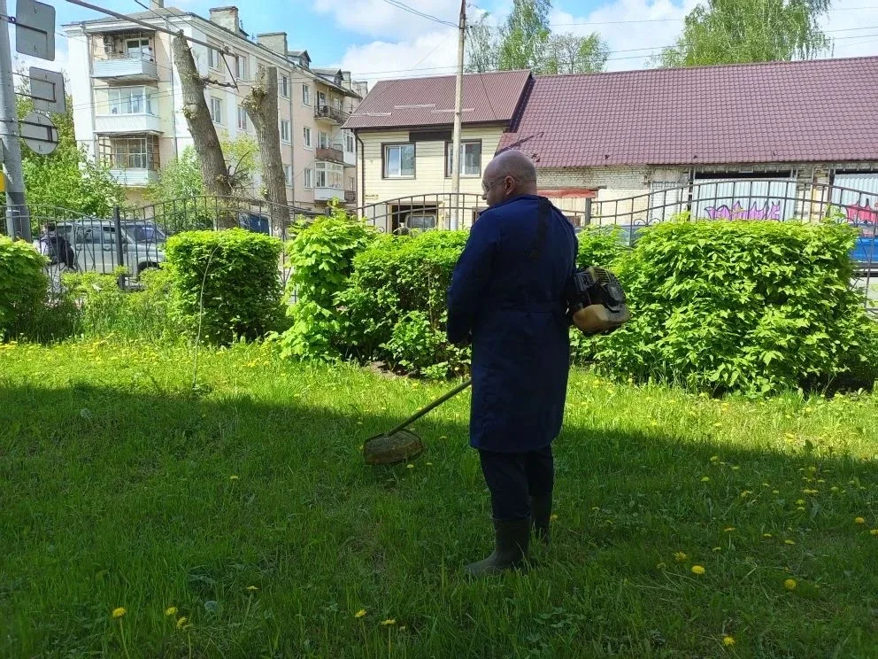 В Брянске начался сезон активных покосов  Несколько дождливых дней и последовавшее за ними потеплени