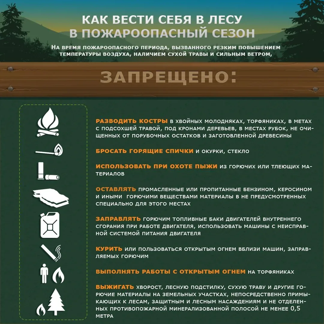 Как вести себя в лесу в пожароопасный сезон?     ✅ Что делать запрещено?    ✅ Какая ответственность 