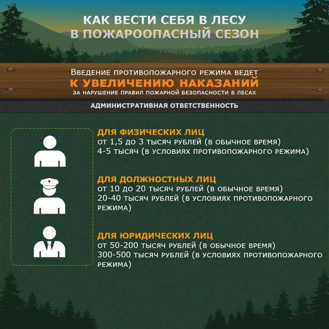 Как вести себя в лесу в пожароопасный сезон?     ✅ Что делать запрещено?    ✅ Какая ответственность 