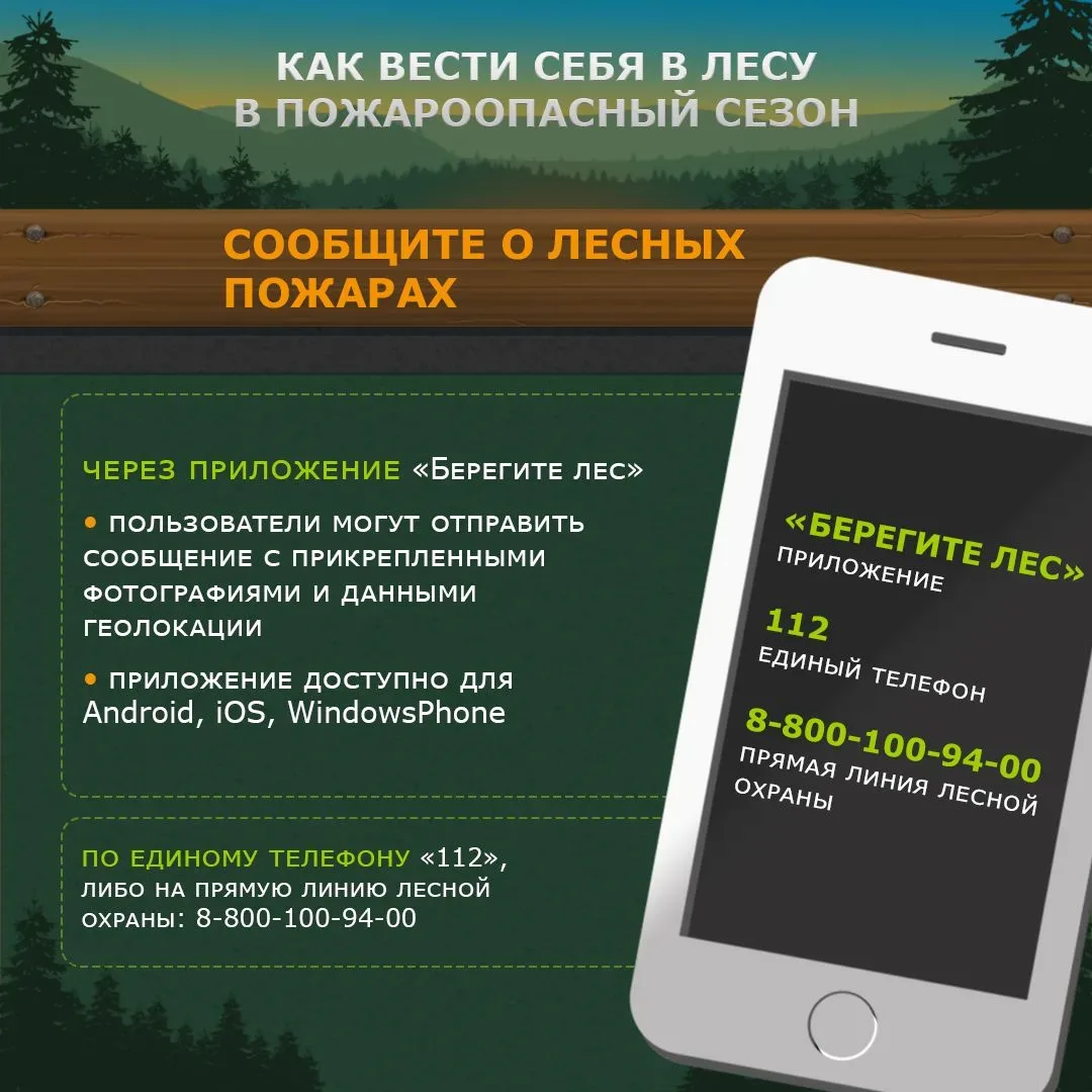 Как вести себя в лесу в пожароопасный сезон?     ✅ Что делать запрещено?    ✅ Какая ответственность 