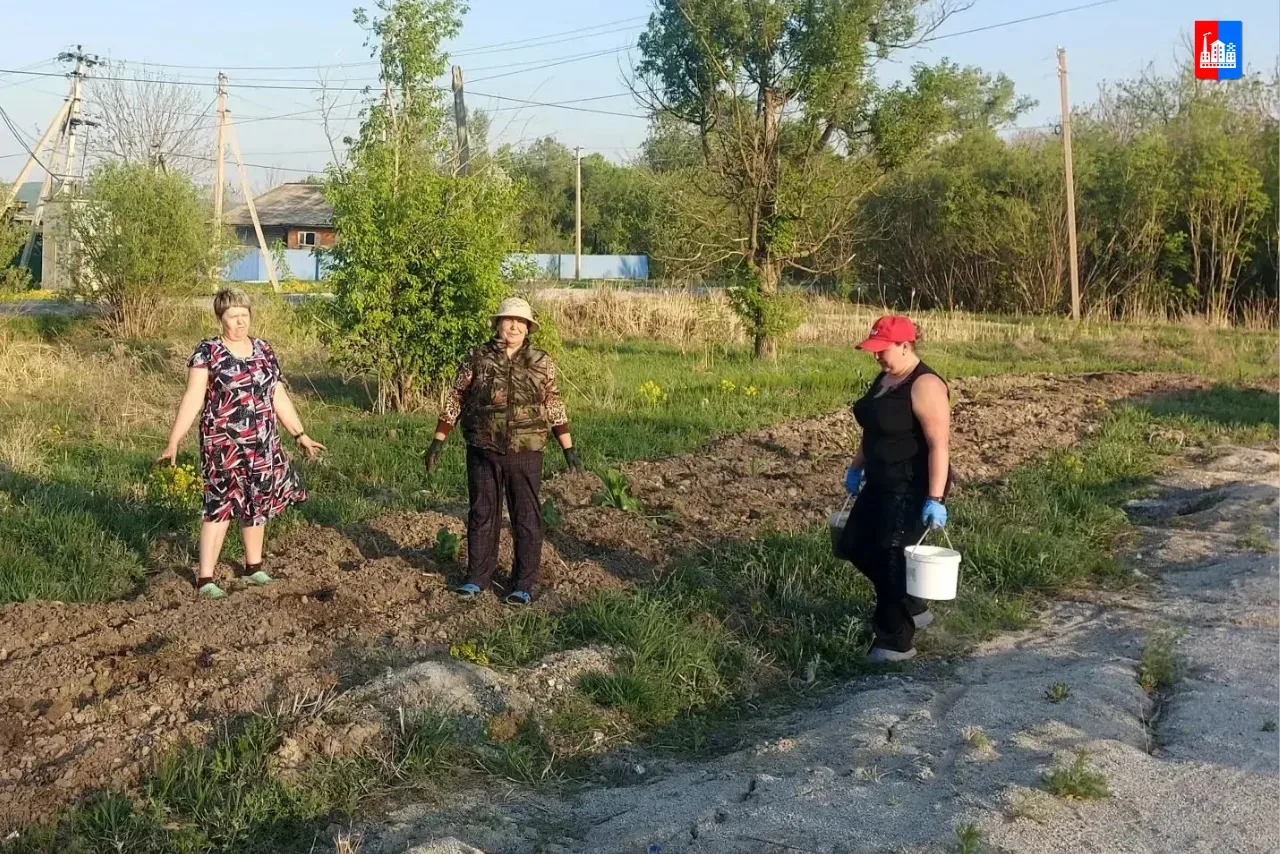 #озеленение  Жители села Прохоры, объединенные общим желанием преобразить любимое место отдыха своих
