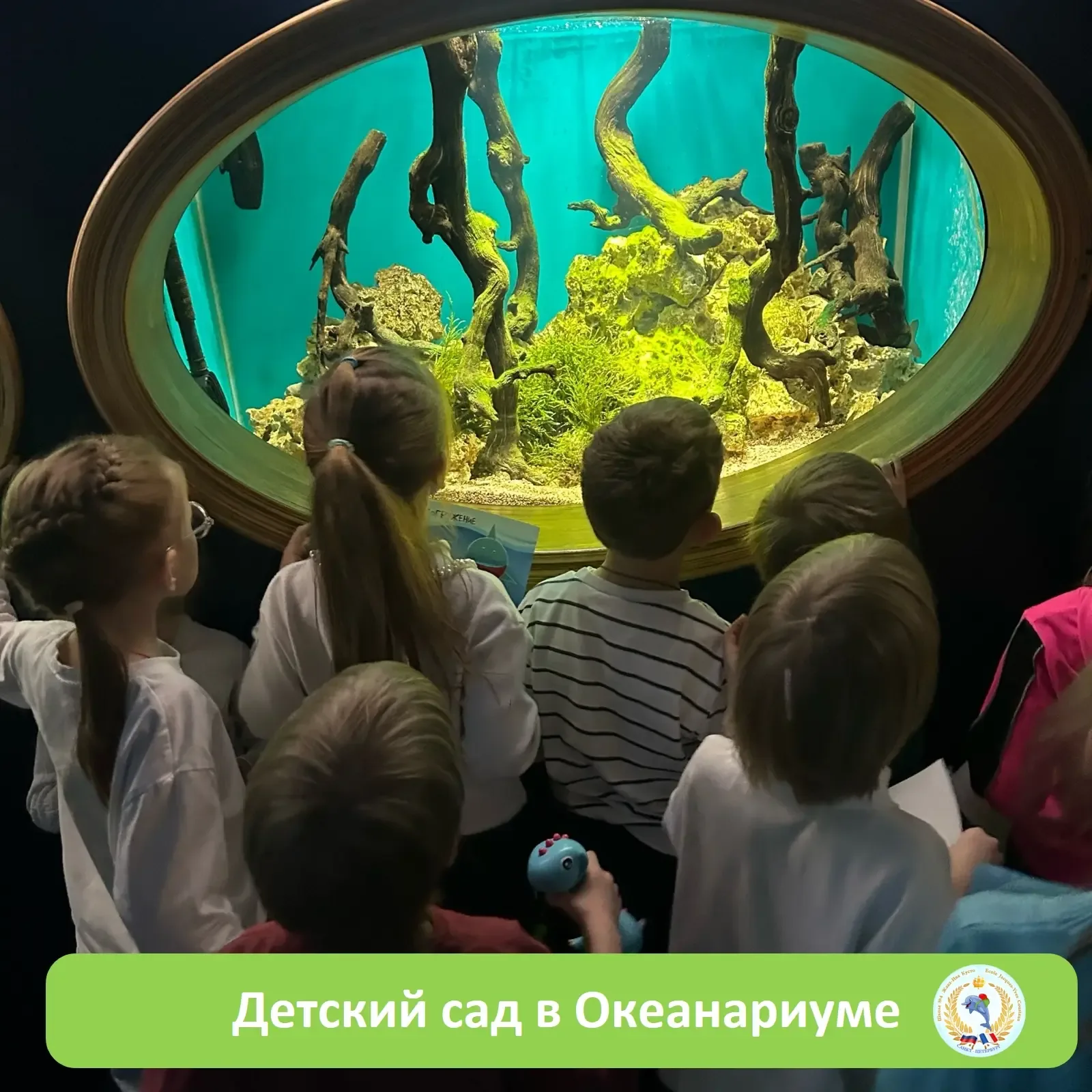 🐠 ВОСПИТАННИКИ ДЕТСКОГО САДА "КАЛИПСО" ПОСЕТИЛИ ОКЕАНАРИУМ 🐟  💙 Воспитатель Дмитриева Марина Алексан