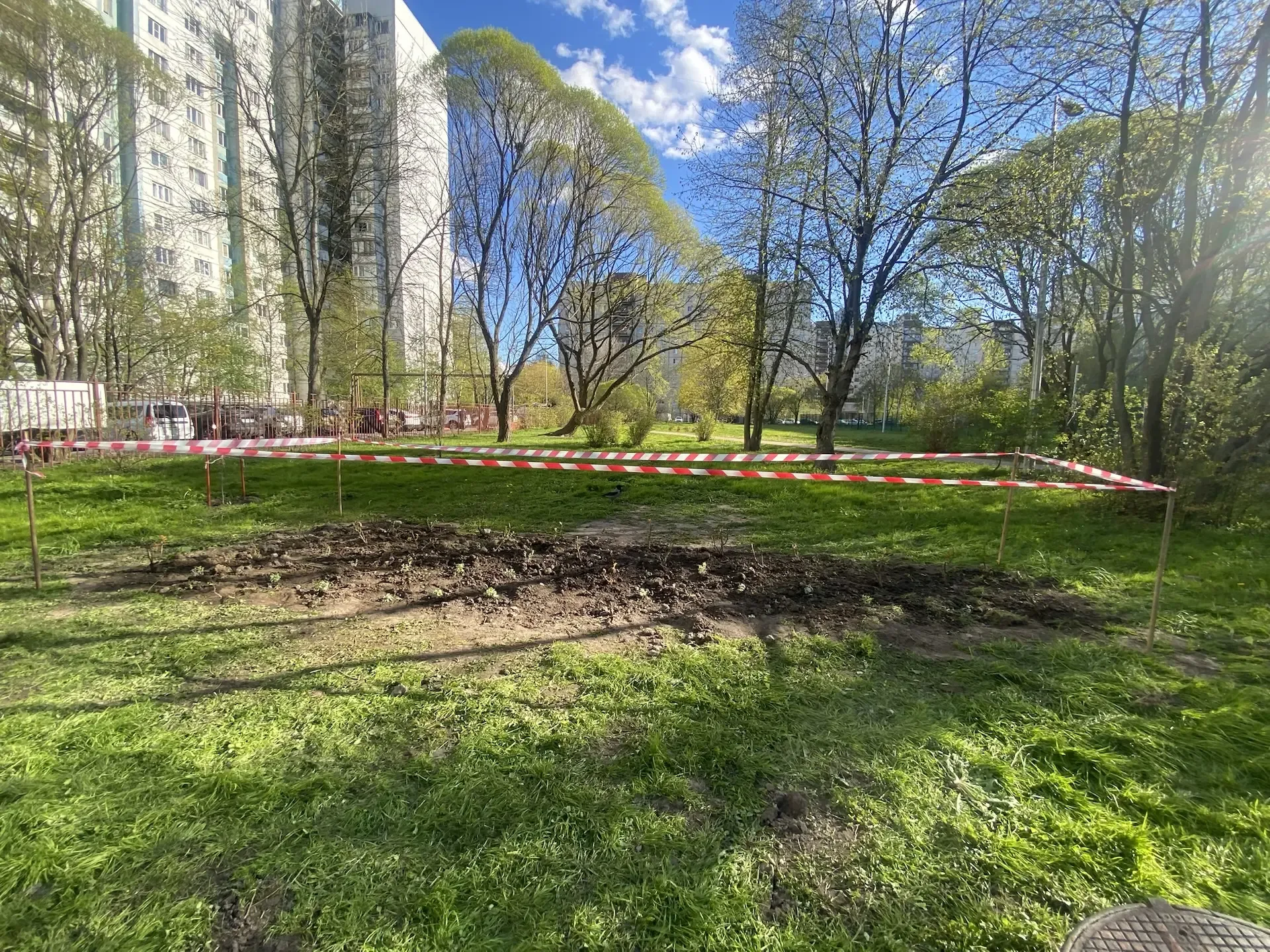 Розариум народов, победивших фашизм в Великой Отечественной войне 🌹🎈🎖️  Наш семейный сад расцветает!