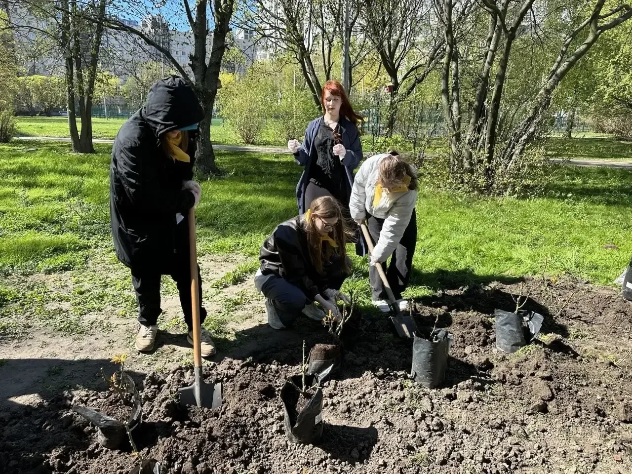 Розариум народов, победивших фашизм в Великой Отечественной войне 🌹🎈🎖️  Наш семейный сад расцветает!