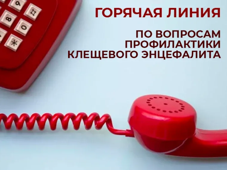❗ С 27 апреля по 10 мая в Управлении Роспотребнадзора по Томской области будет работать «горячая лин