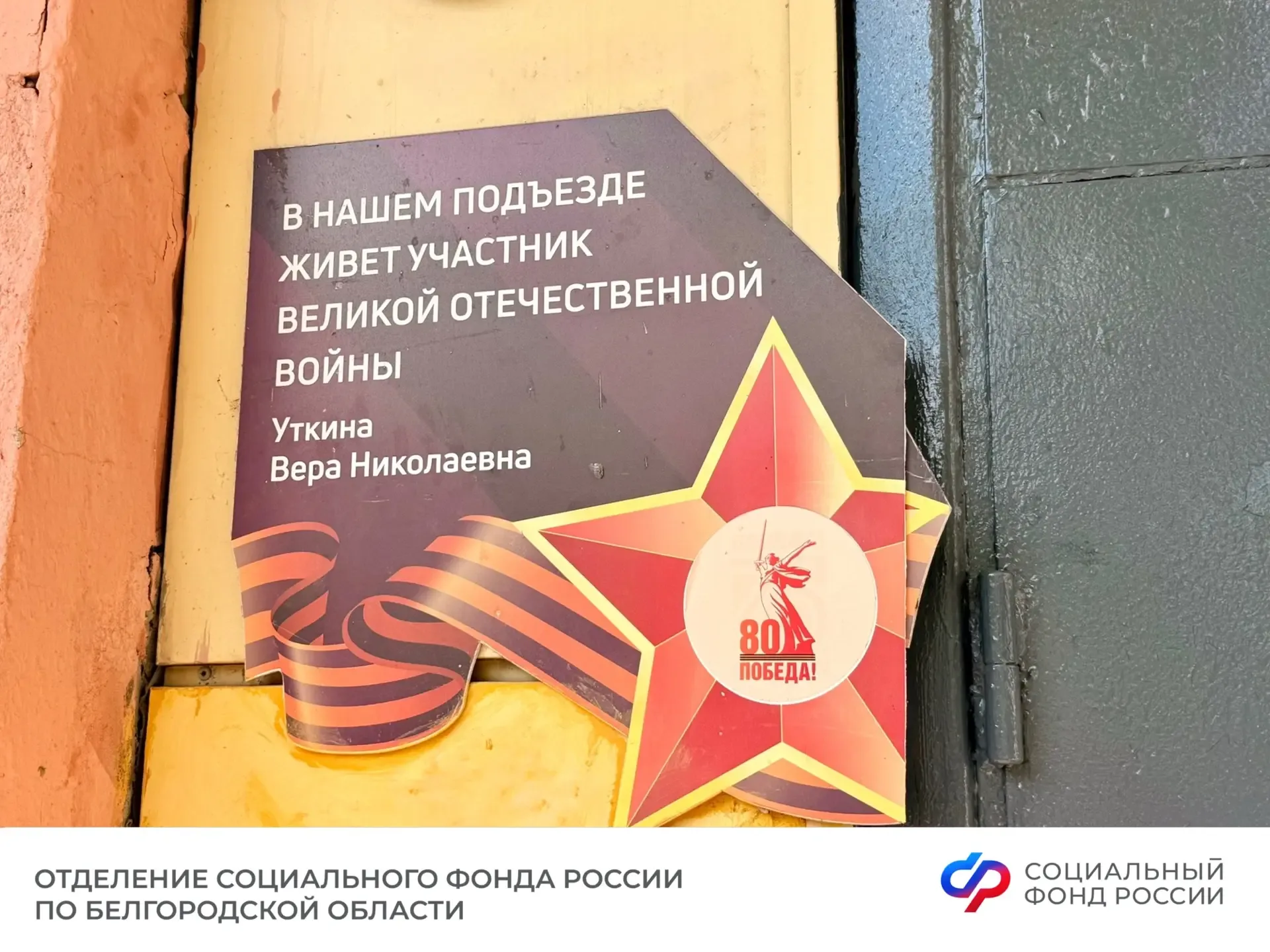 💐Управляющая Отделением СФР по Белгородской области Ирина Шушкова и представители молодёжного совета