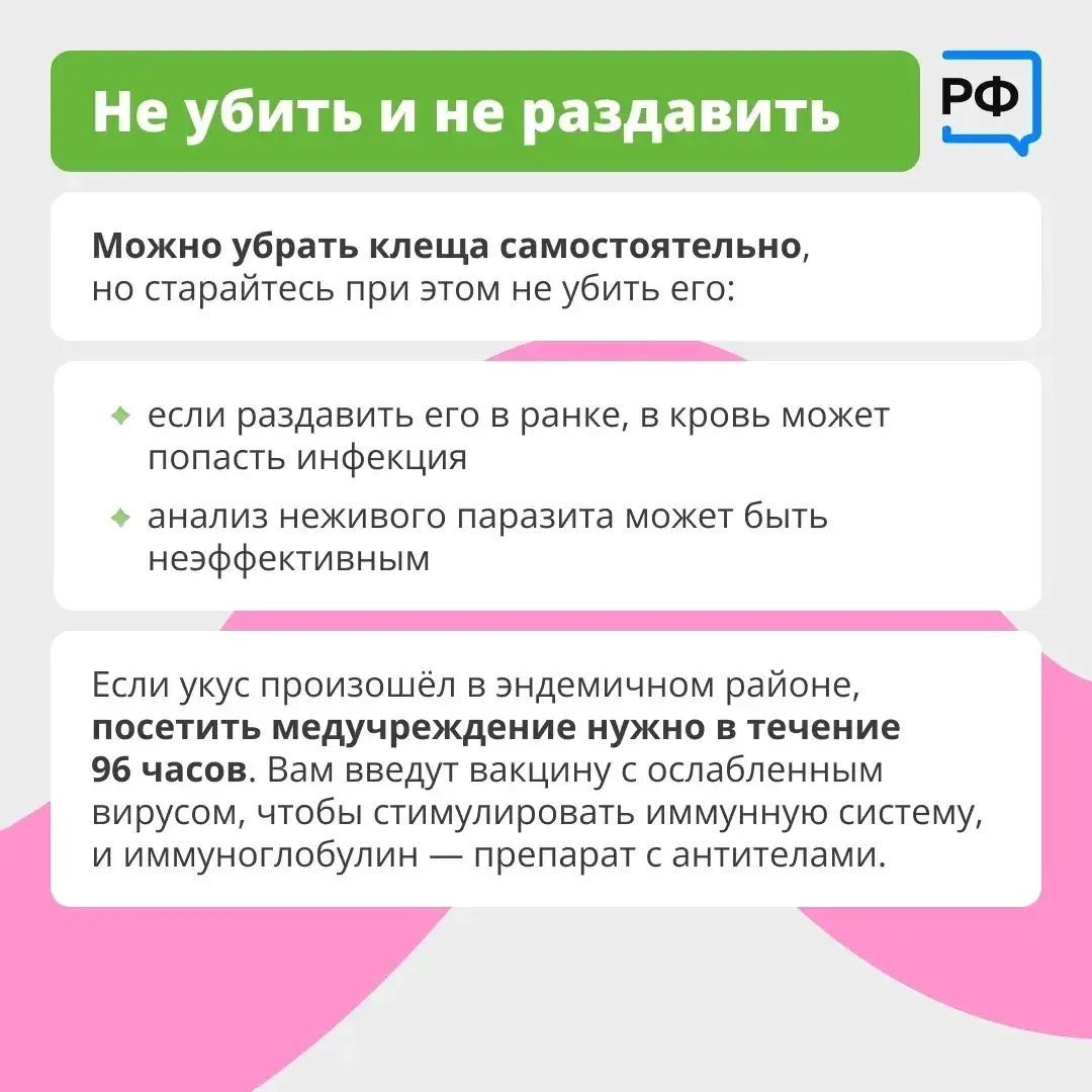 Вместе с клещом можно подцепить опасные болезни. Например, боррелиоз — он затрагивает кожу, сердце и