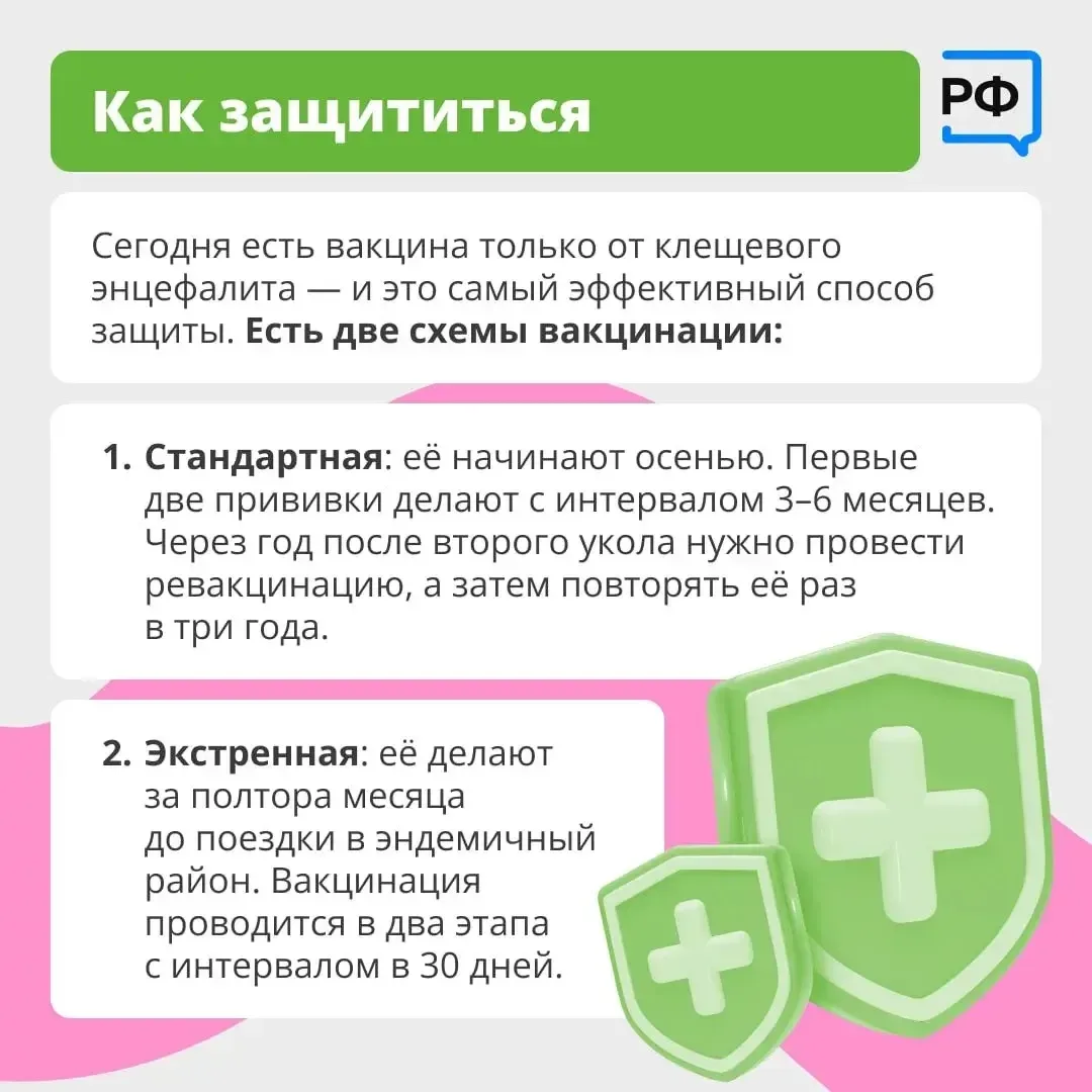 Вместе с клещом можно подцепить опасные болезни. Например, боррелиоз — он затрагивает кожу, сердце и