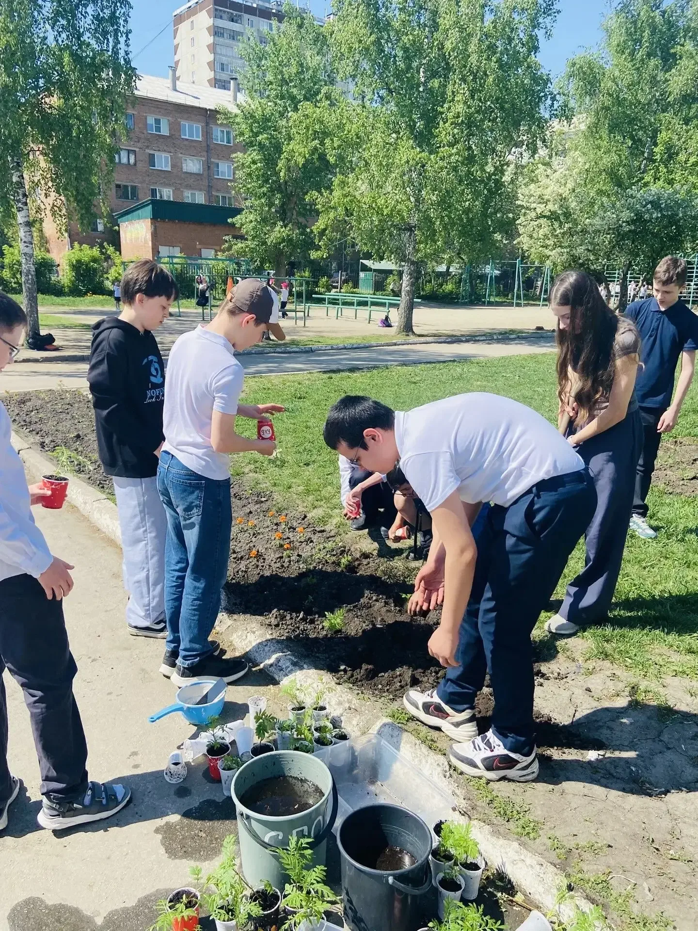 🌿💫Традиция продолжается!💫🌿   Ученики 6 «Е» класса вновь вышли на посадку цветов на школьной территор