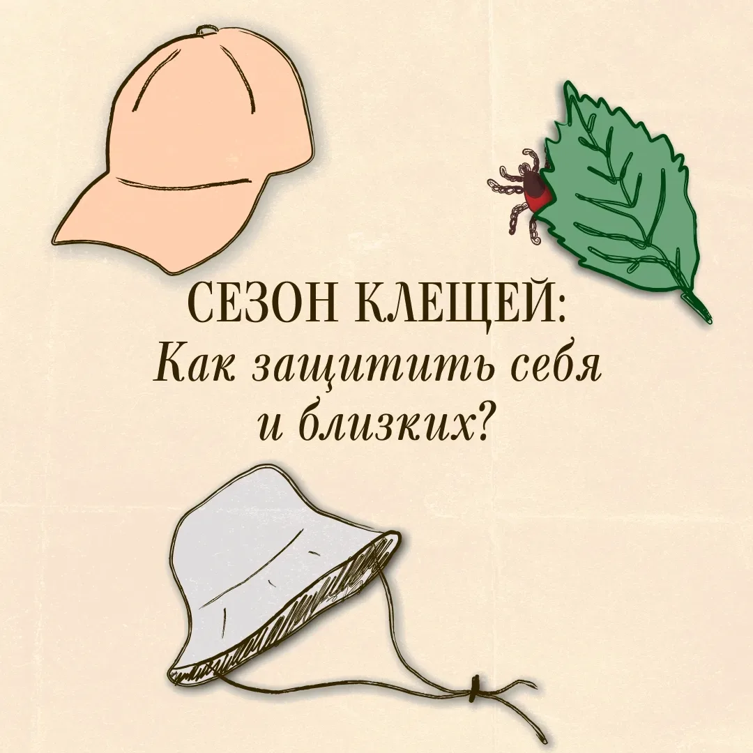 Весной начинается сезон активности клещей.  Их укусы могут привести к параличу, эпилепсии, атрофии м