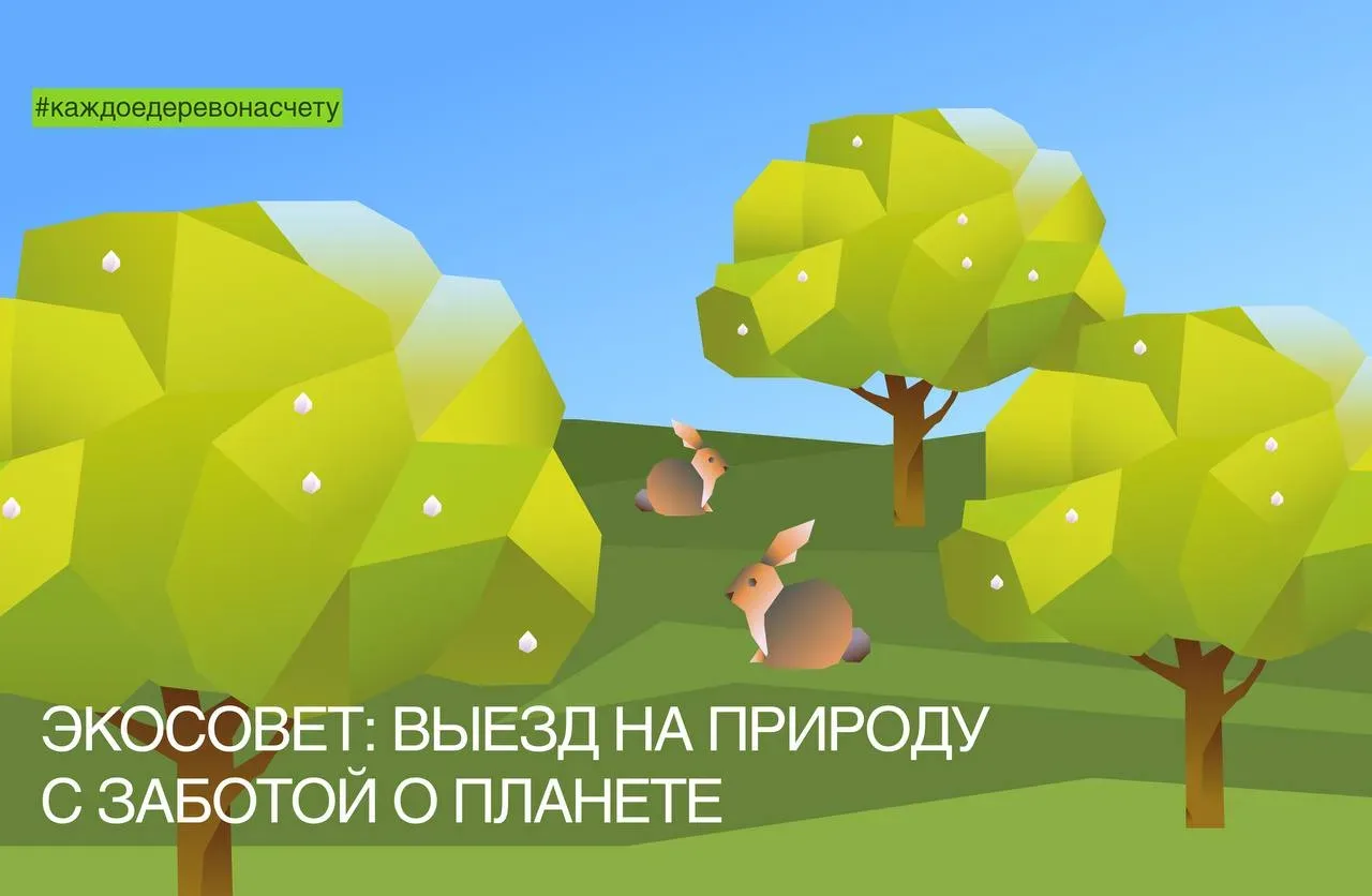 Выехать на природу — полдела. Важно вернуться с хорошим настроением, не оставить после себя горы пла