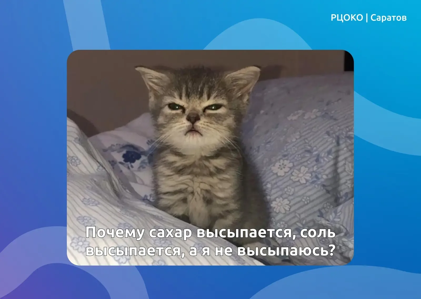 ⚡️ Сон vs. Учёба: почему важно высыпаться перед экзаменами?  Скоро ОГЭ, ЕГЭ и ВПР — и кажется, что к
