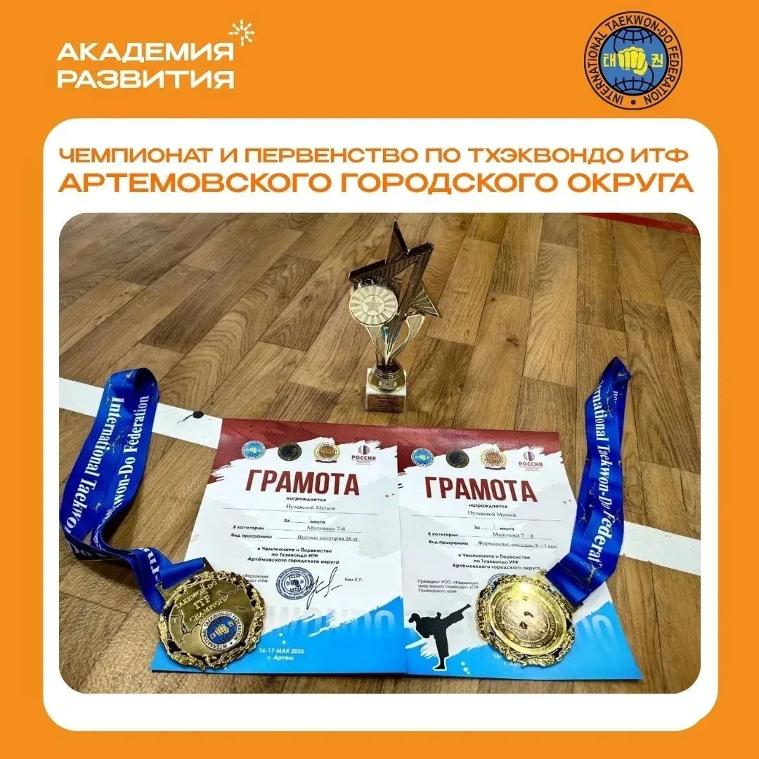 16–17 мая в городе Артёме прошёл Чемпионат и Первенство Артёмовского городского округа по тхэквондо 