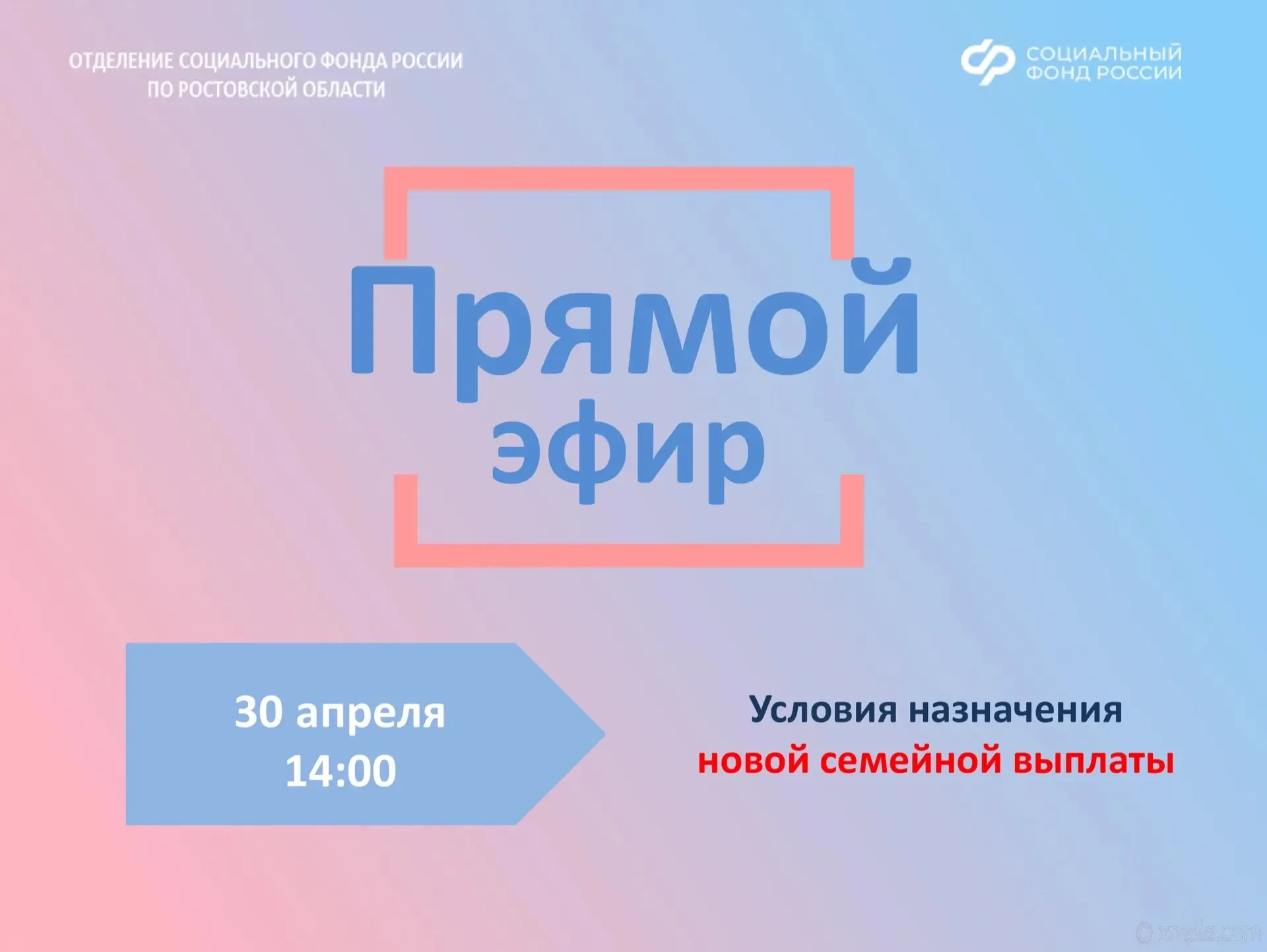 👪Отделение СФР по Ростовской области в прямом эфире во ВКонтакте расскажет о новой семейной выплате.