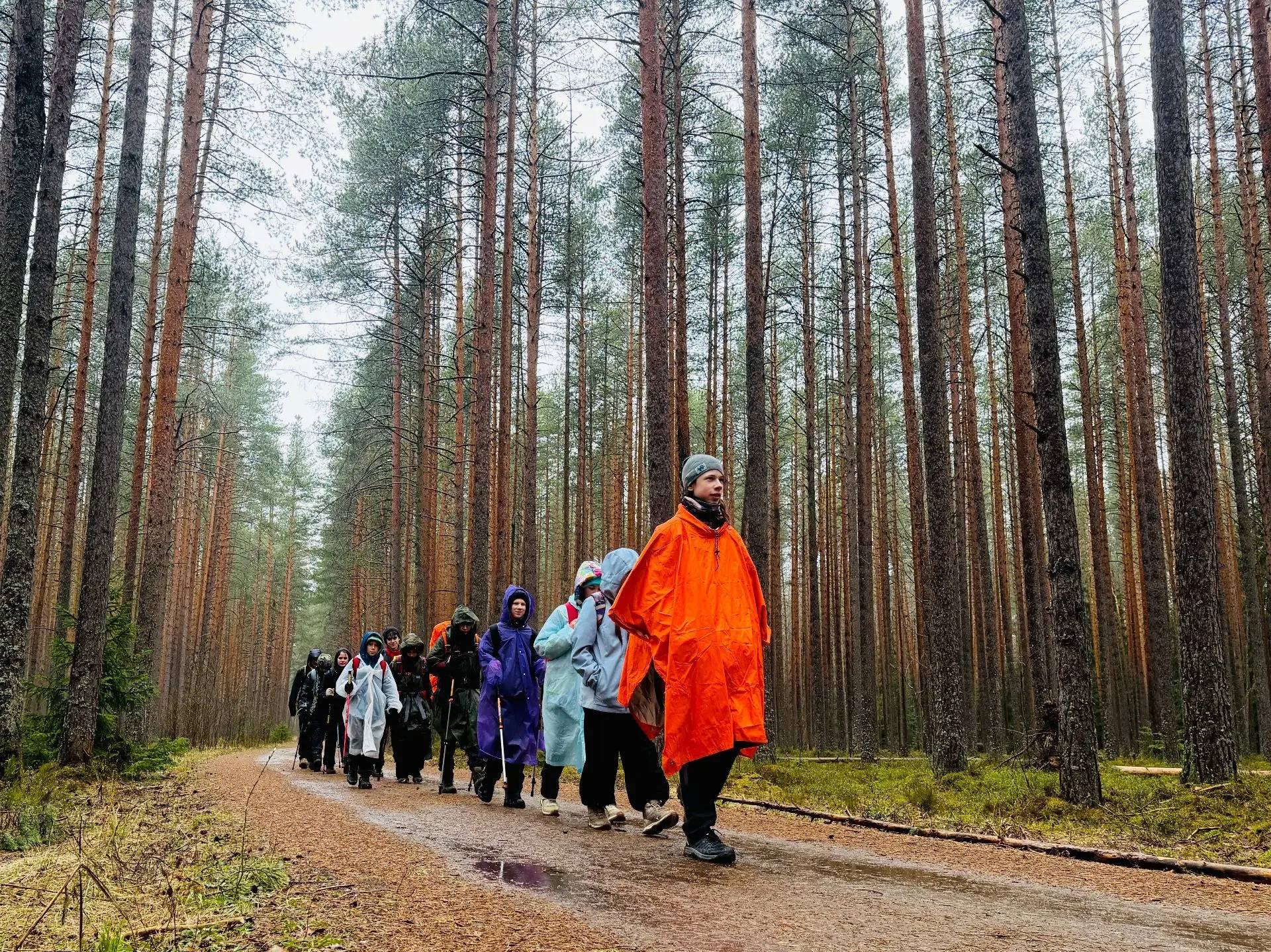 🏕 15 километров сквозь историю: поход клуба «Тропинка» по Ленинской тропе    24 апреля юные туристы 