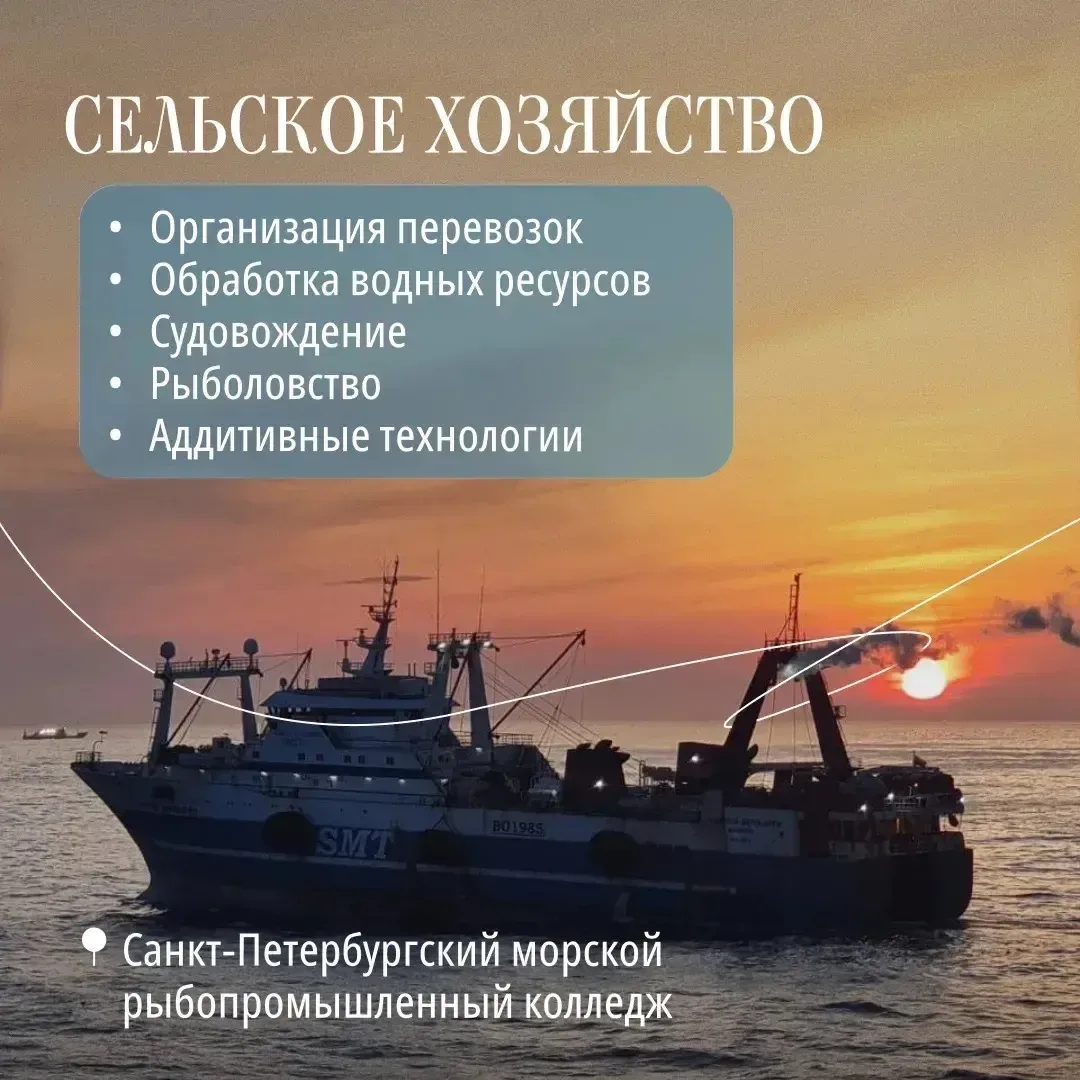 После 9 класса важно определиться с дальнейшим маршрутом — где учиться и на кого.  Можно остаться в 