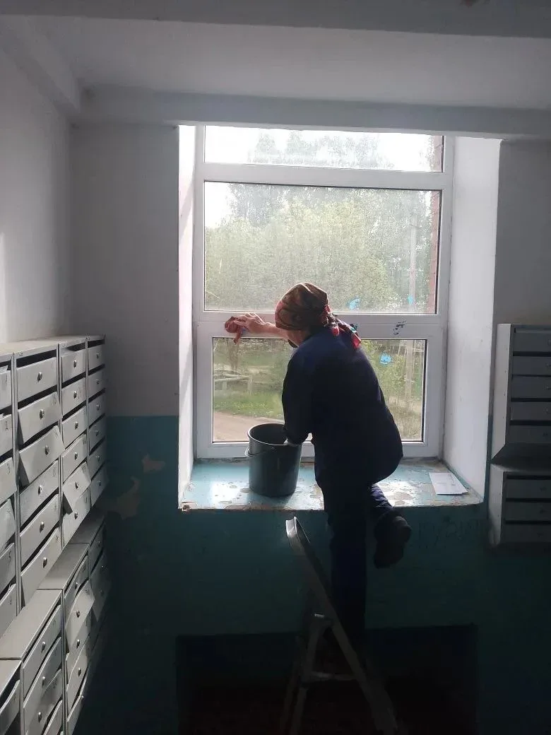 🌤 🌿 🌲Наша рубрика по четвергам: ЕЖЕДНЕВНЫЕ ДЕЛА