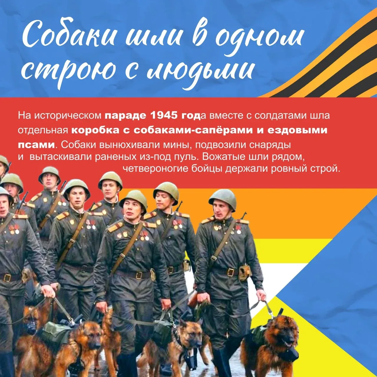 День в истории.  9 мая - День Победы!