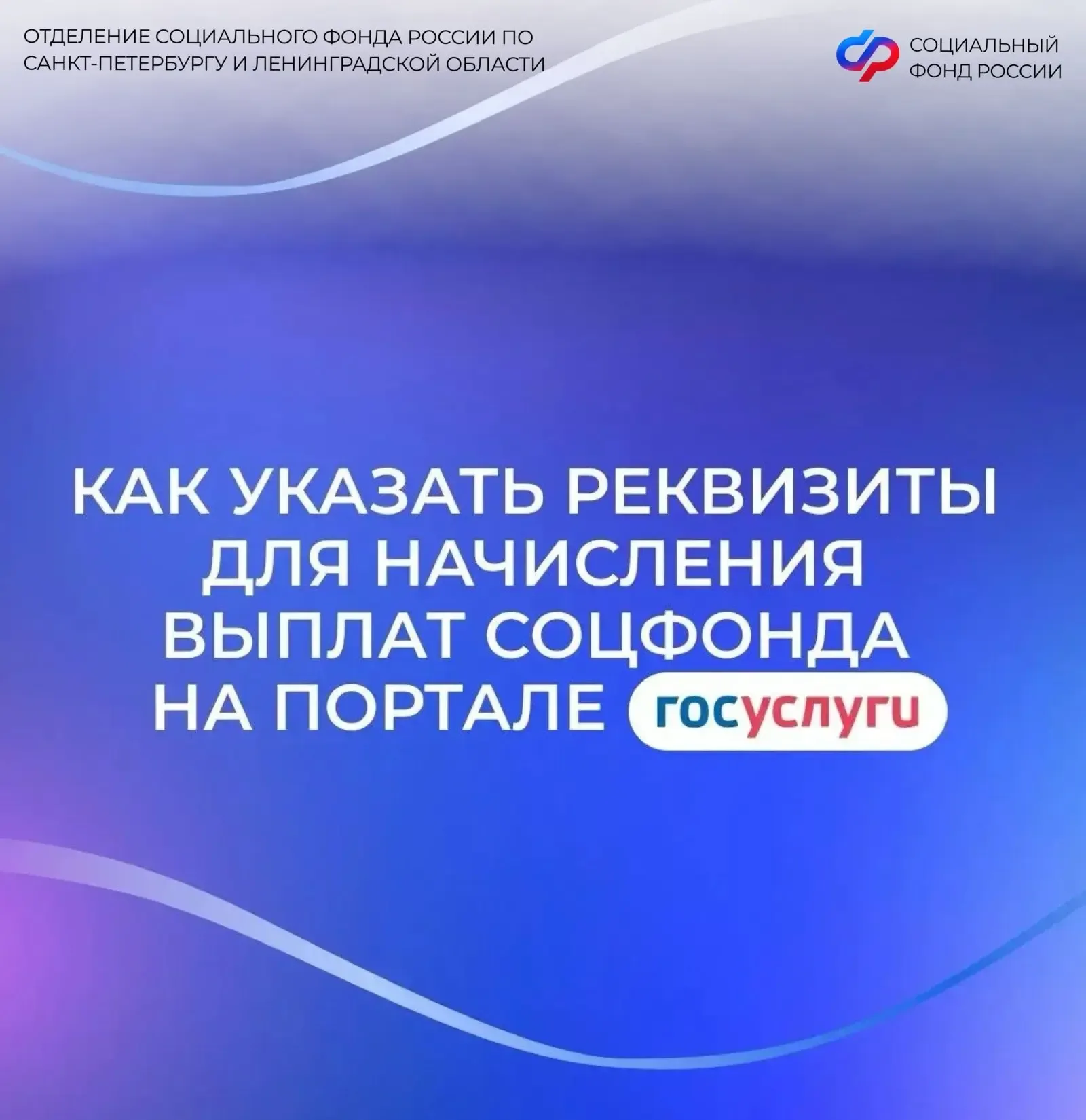 Указание реквизитов счета на портале госуслуг   🫶 Социальный фонд назначает многие меры поддержки пр
