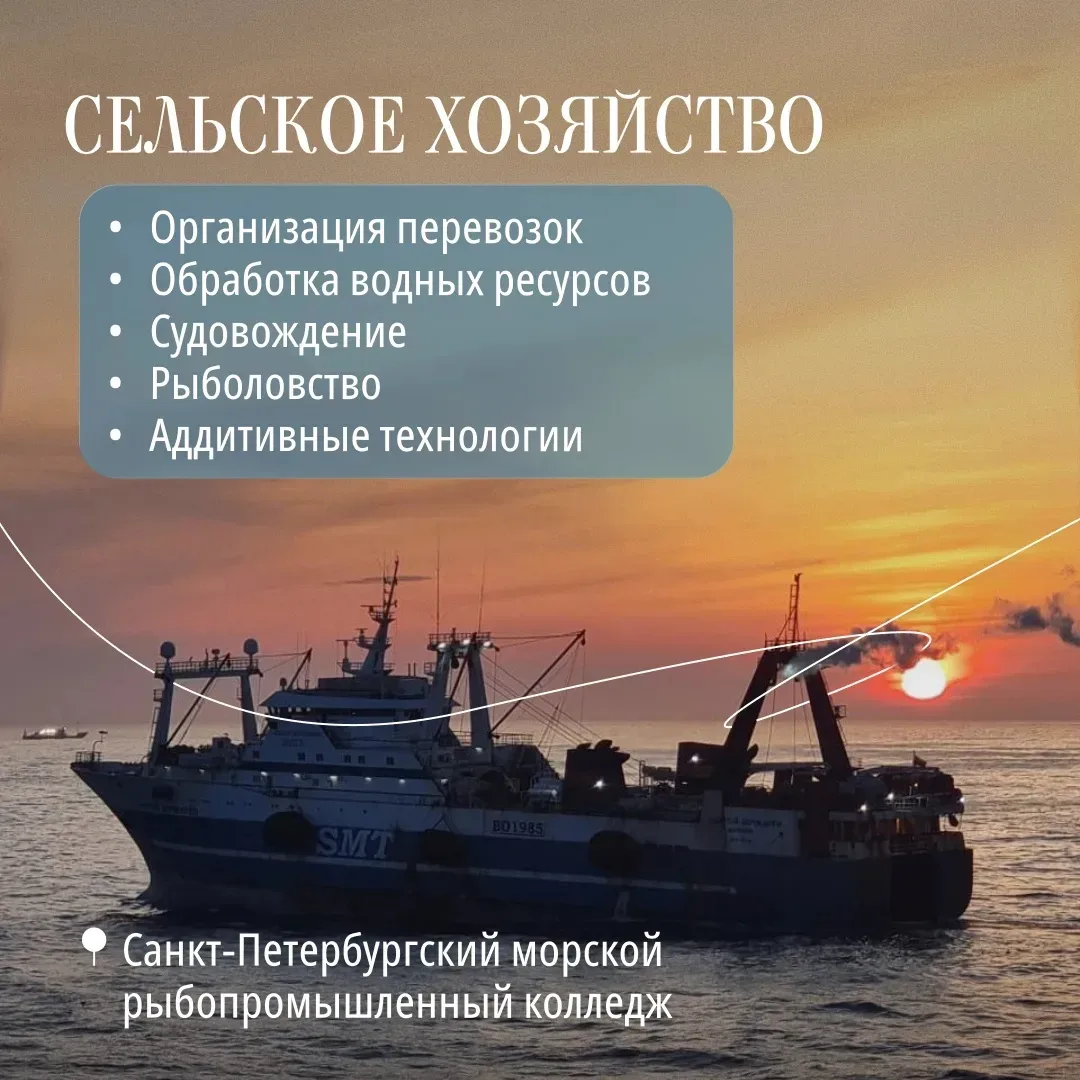 После 9 класса важно определиться с дальнейшим маршрутом — где учиться и на кого. Можно остаться в ш