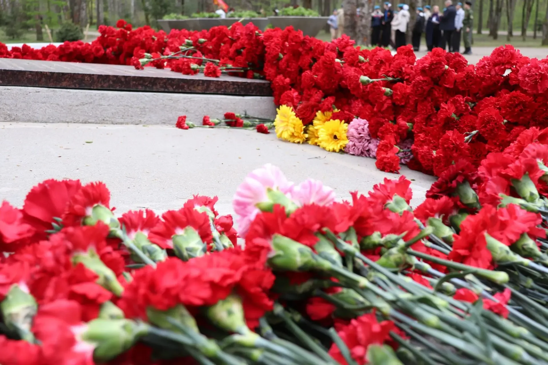 «Памяти павших будьте достойны»  7 мая в лесопарке Сосновка наши учащиеся 11 класса приняли участие 
