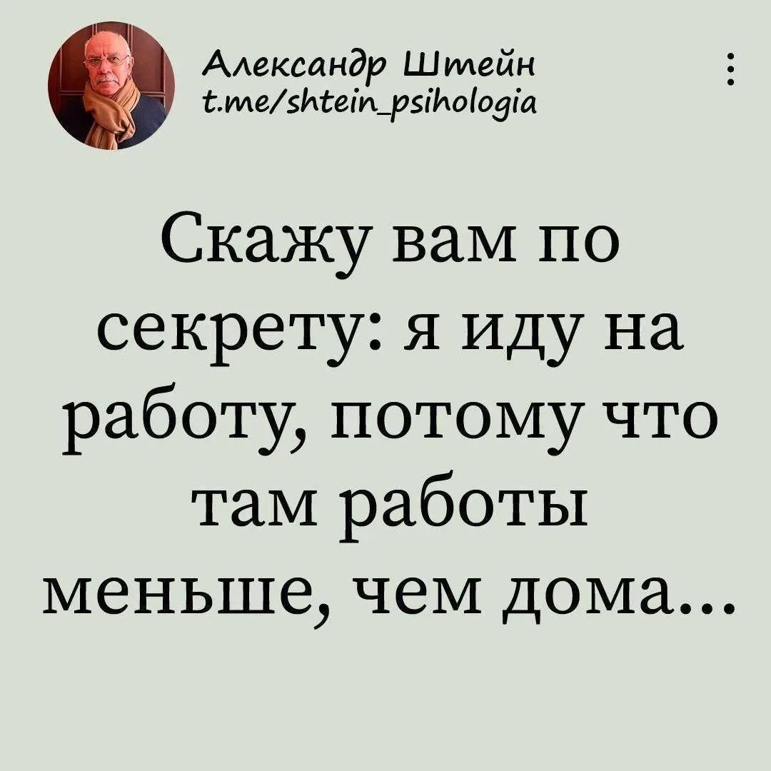 Ну почему никто раньше не рассказал о нём?!  Александр Штейн — самый смешной канал психолога, которы