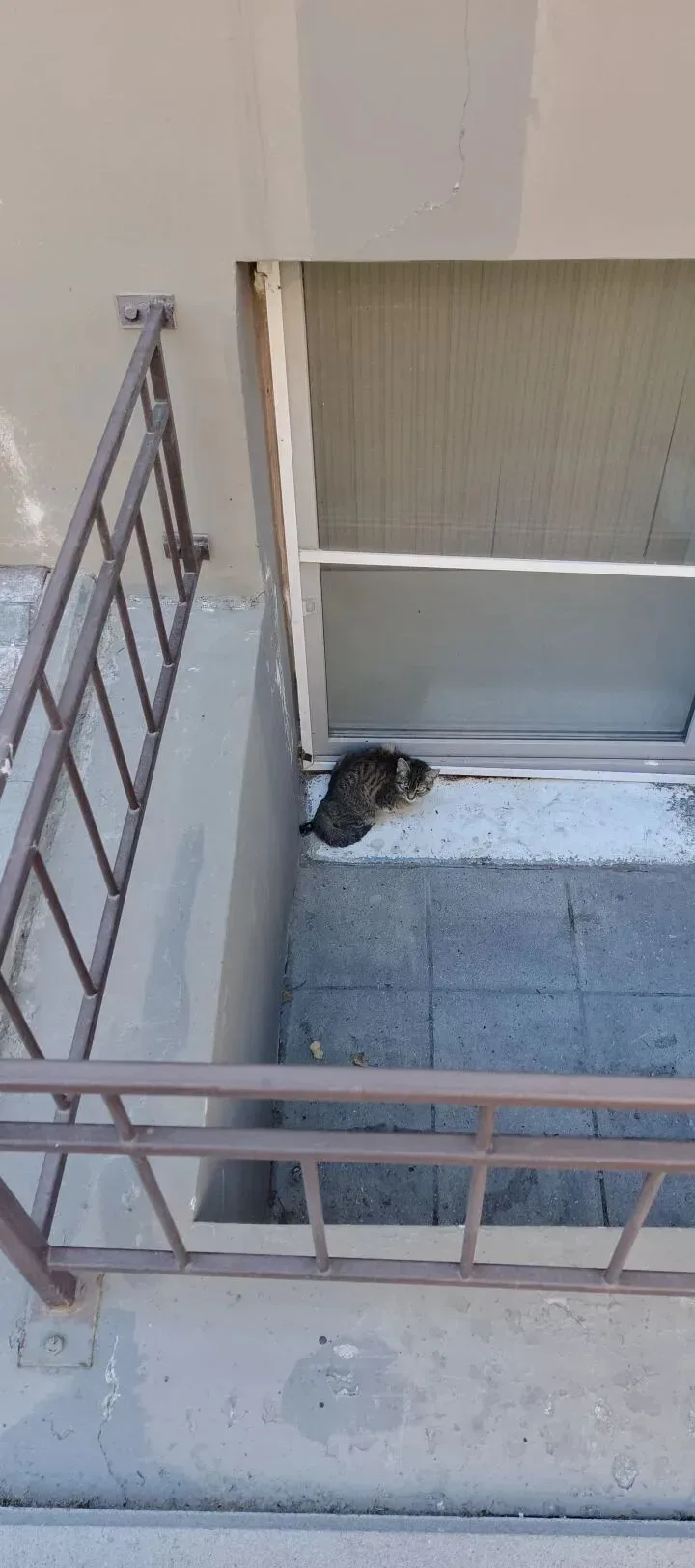 🆘💔 Частная клиника чуть не усыпила, а мы погрязли в МРТ, онко врачах и НЕ ХВАТКЕ КОРМА! 😭   Нам приш
