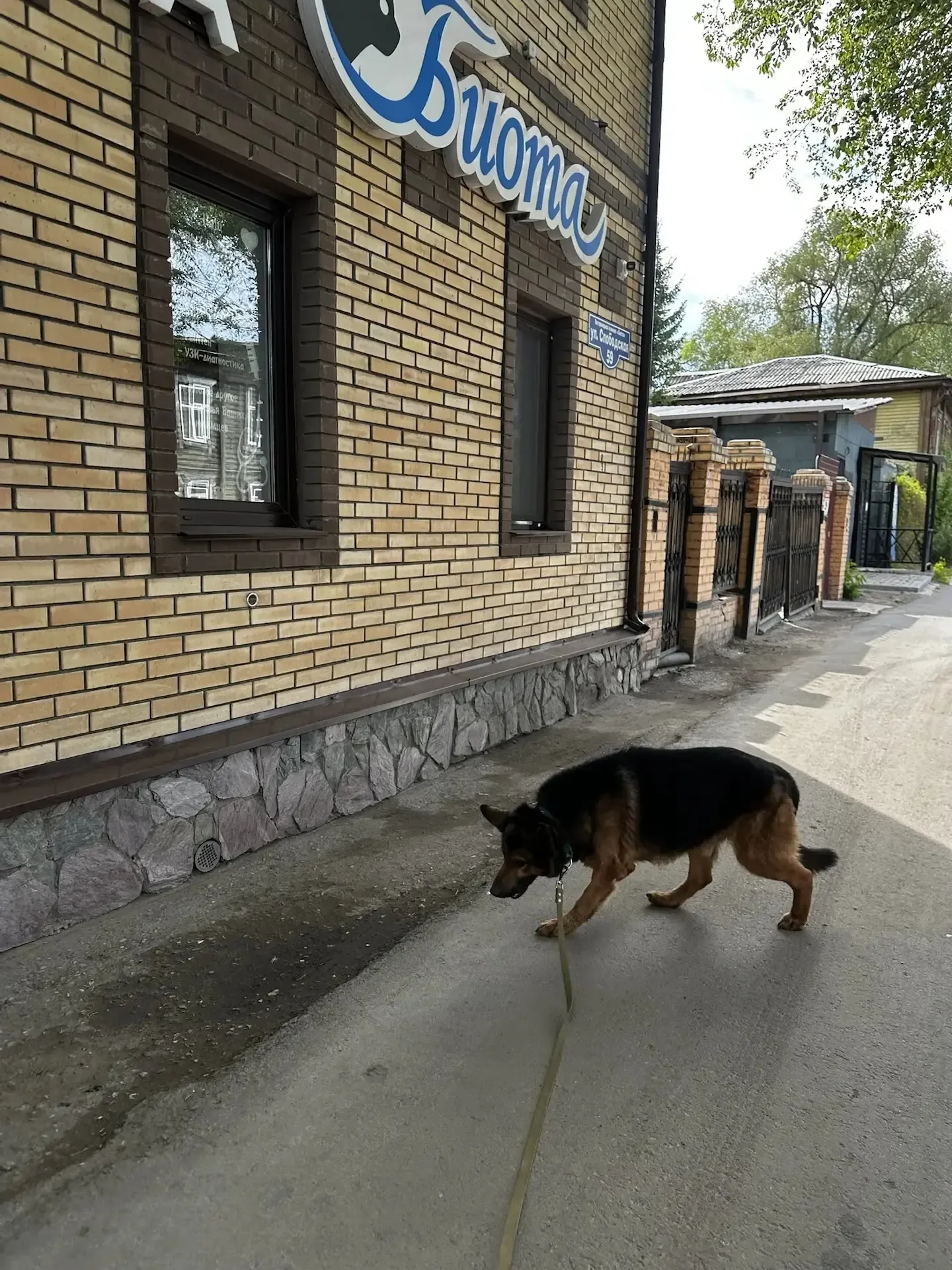 🆘💔 Частная клиника чуть не усыпила, а мы погрязли в МРТ, онко врачах и НЕ ХВАТКЕ КОРМА! 😭   Нам приш