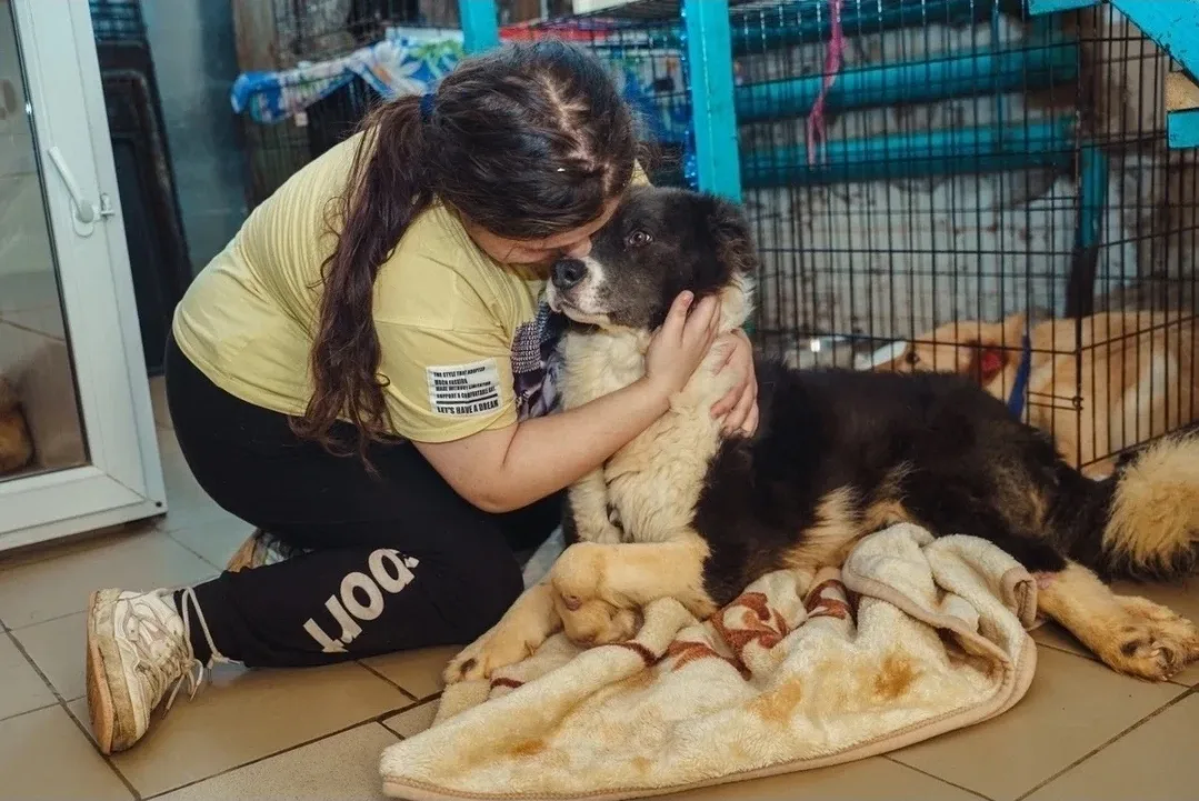 🆘 Мы кричим, как можем: СПАСИТЕ! Но всё чаще остаёмся не услышанными... Совсем тяжко ХОСПИСУ! 💔  Объ