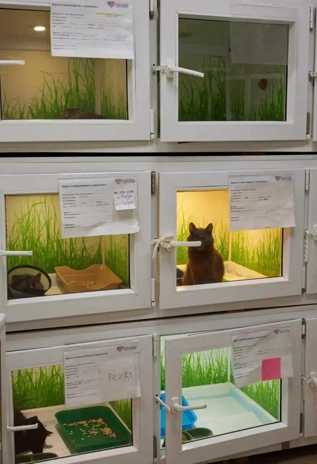 🆘 Мы кричим, как можем: СПАСИТЕ! Но всё чаще остаёмся не услышанными... Совсем тяжко ХОСПИСУ! 💔  Объ