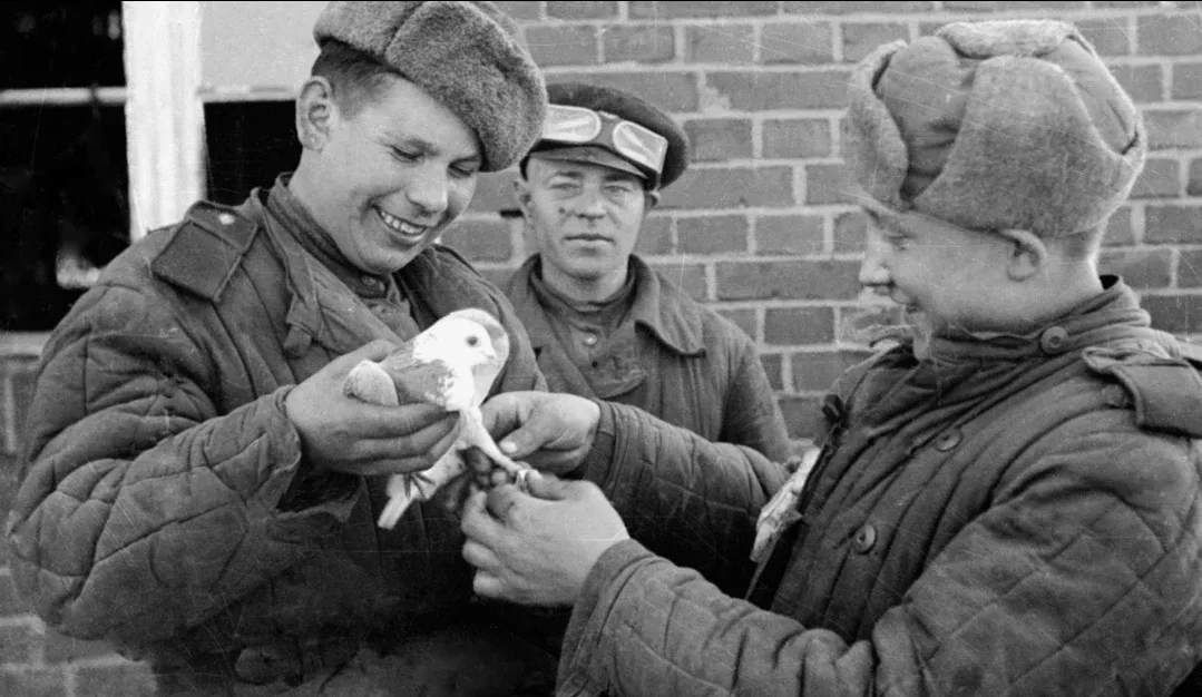 ⭐🕊️ С Днем Победы! Рассказ о бойцах, которых не найти в учебниках истории.  Друзья, от всего сердца 