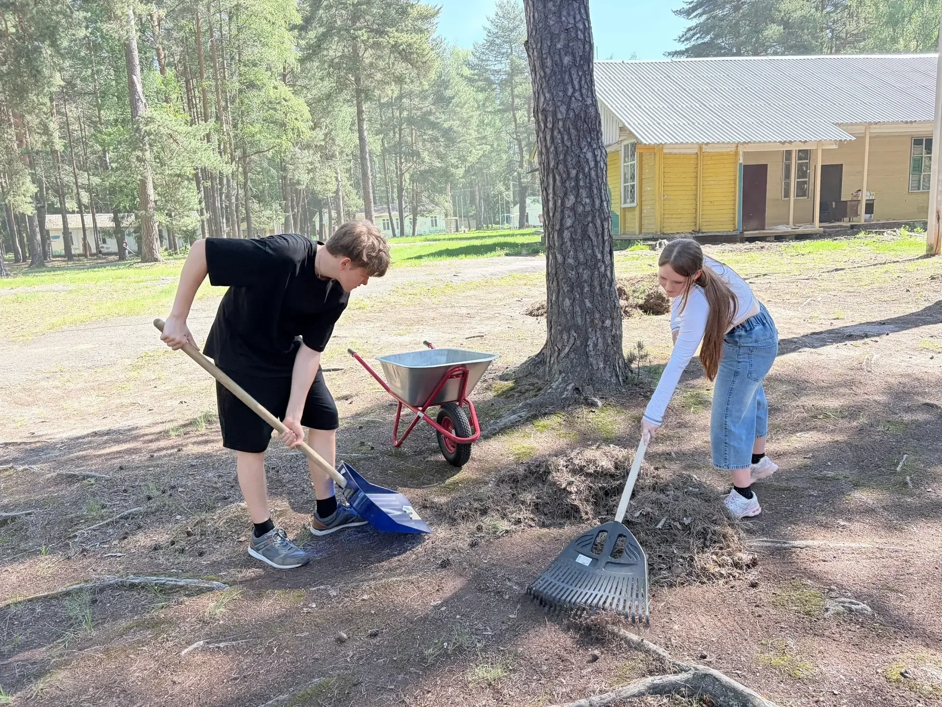 🌲 Вместе за чистоту «Юности»   На этой неделе на протяжении трех дней наши ученики - активисты Движе