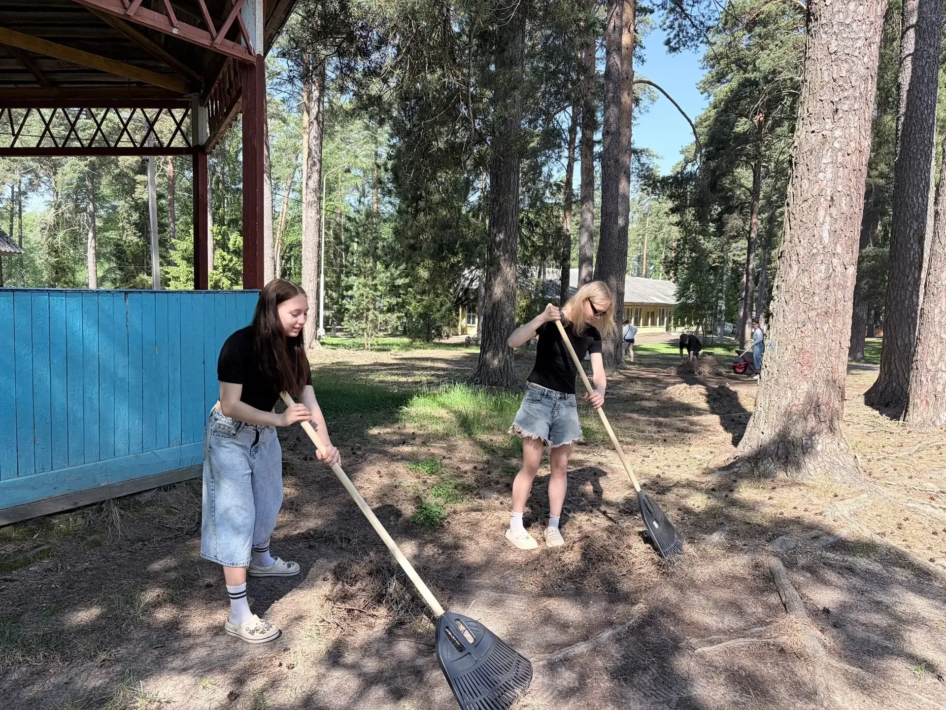 🌲 Вместе за чистоту «Юности»   На этой неделе на протяжении трех дней наши ученики - активисты Движе