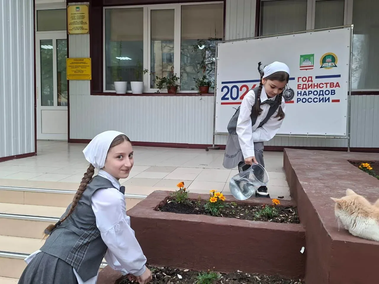 🌿 Всероссийская акция «Зелёная весна»: итоги субботника «Мы за чистоту»    📌📌📌Активисты Движения Пер