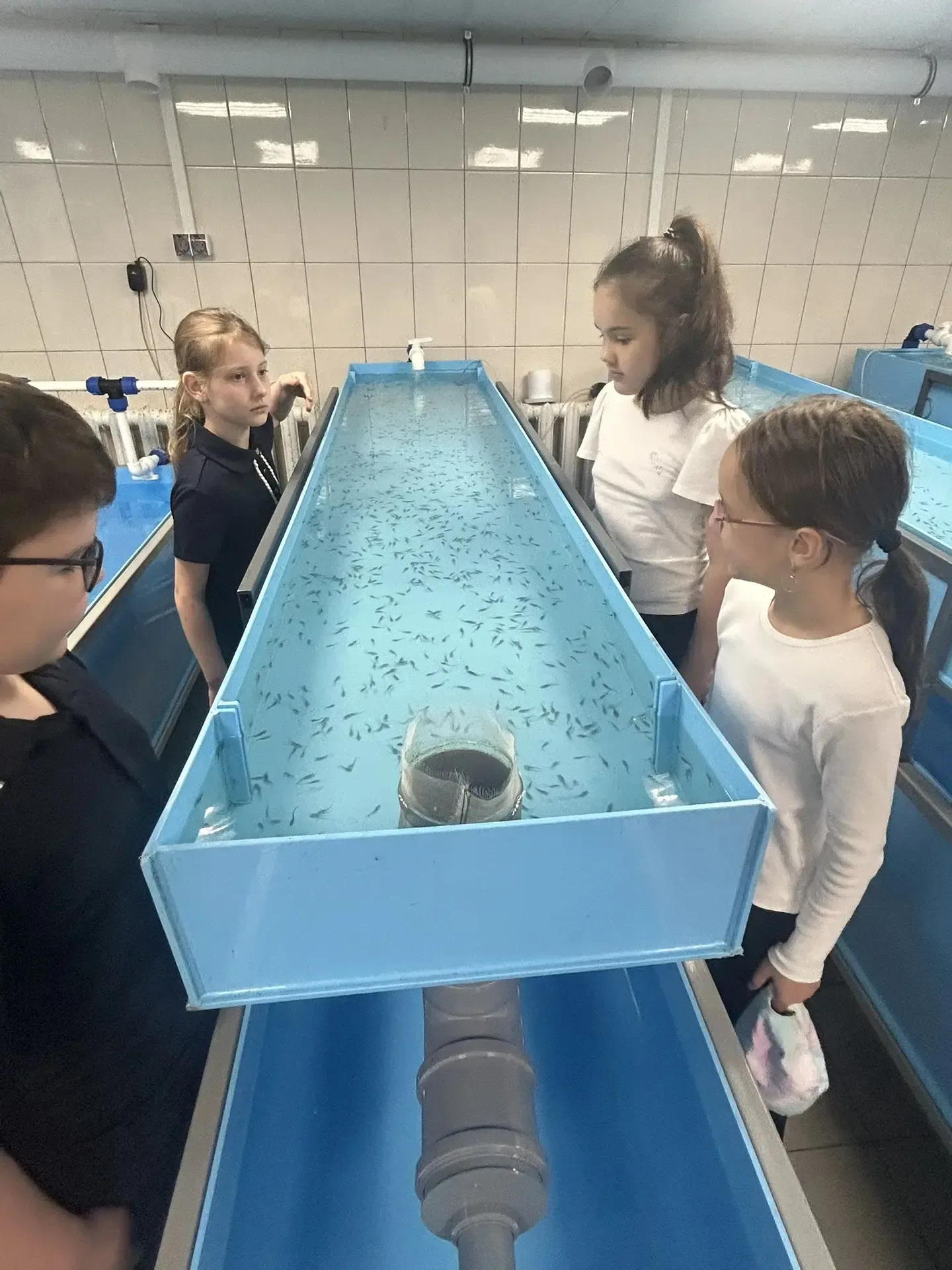 🐟 Путешествие в мир науки: 4Э класс на Дне открытых дверей в НИИ рыбного хозяйства! 🐟  Учащиеся 4Э к