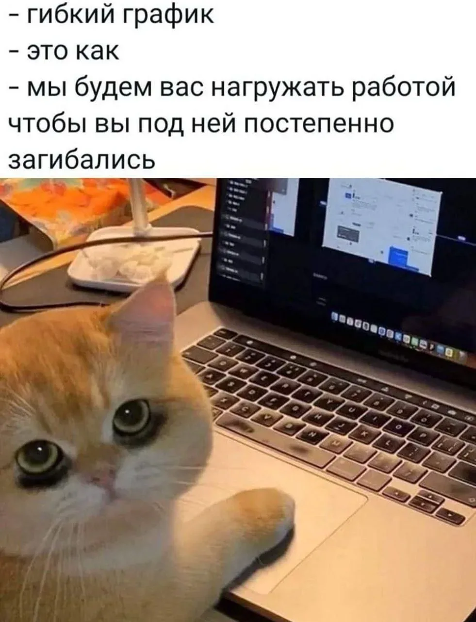В России в два раза увеличили допустимый предел сверхурочной работы — соответствующий закон был прин