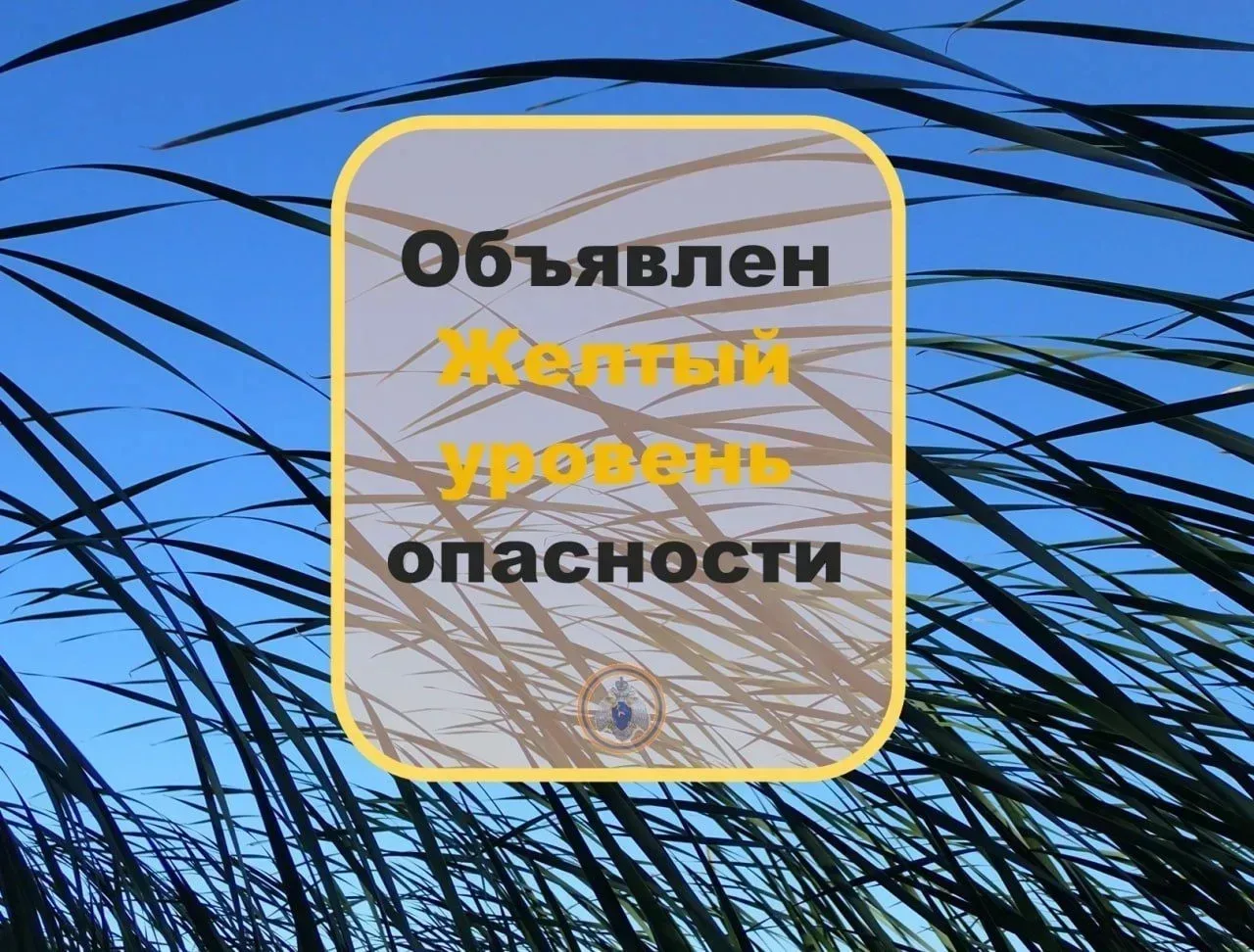 ❗Внимание❗ Ветер  Приволжское УГМС информирует: «Объявлен желтый уровень опасности. В ближайшие 1-2 