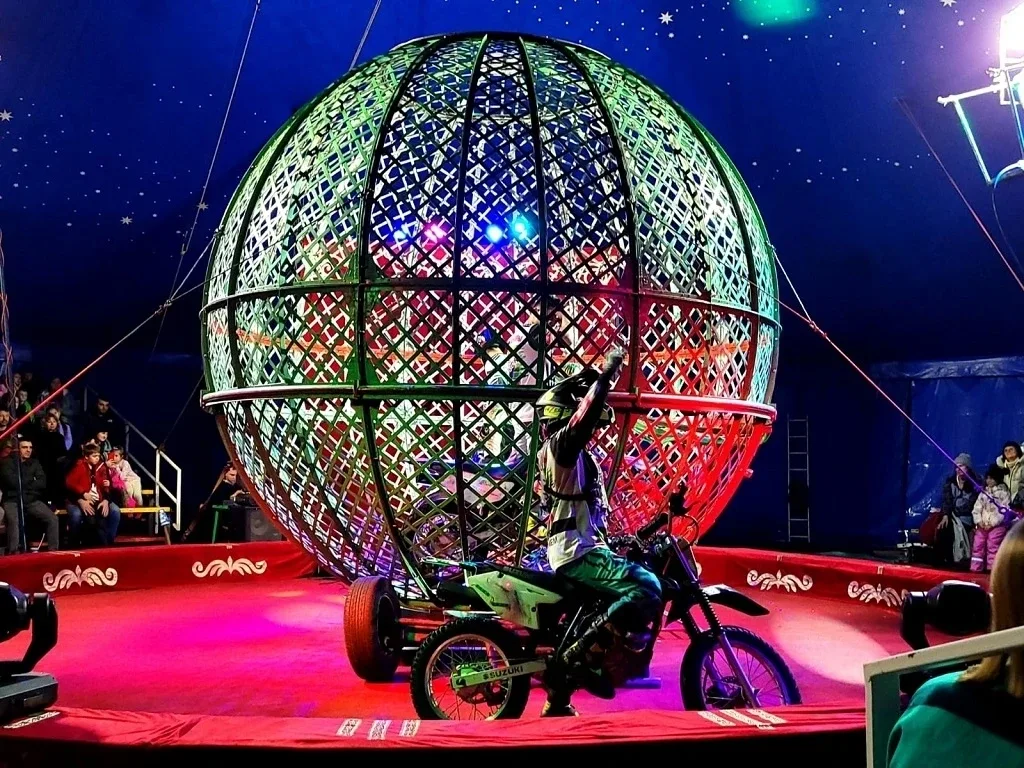 🎪 Колумбийские мотокаскадёры, акробаты в колесе смелости, отважные канатоходцы и многое другое в цир