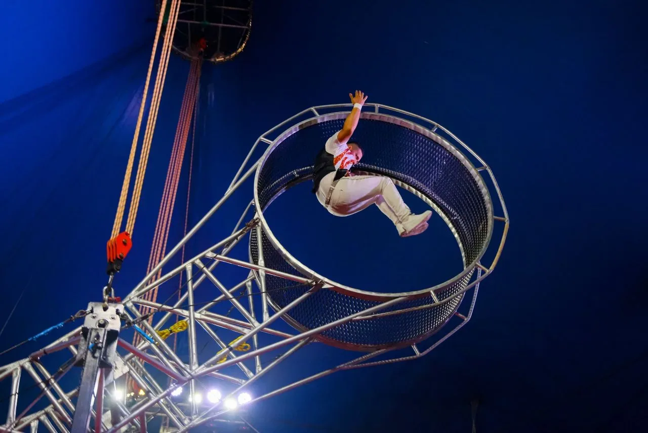 🎪 Колумбийские мотокаскадёры, акробаты в колесе смелости, отважные канатоходцы и многое другое в цир