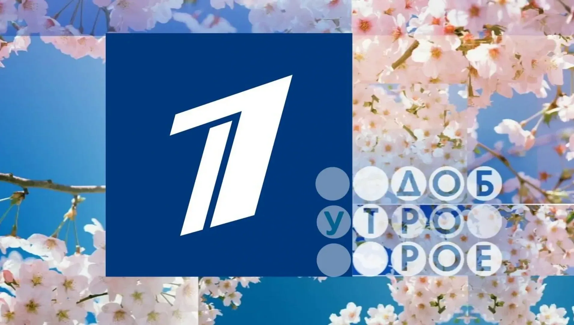 МБОУ СОШ №15 г.о.Красногорск  🌼Юннаты 1-6 классов, обучающиеся в кружке "Живые системы" приняли учас