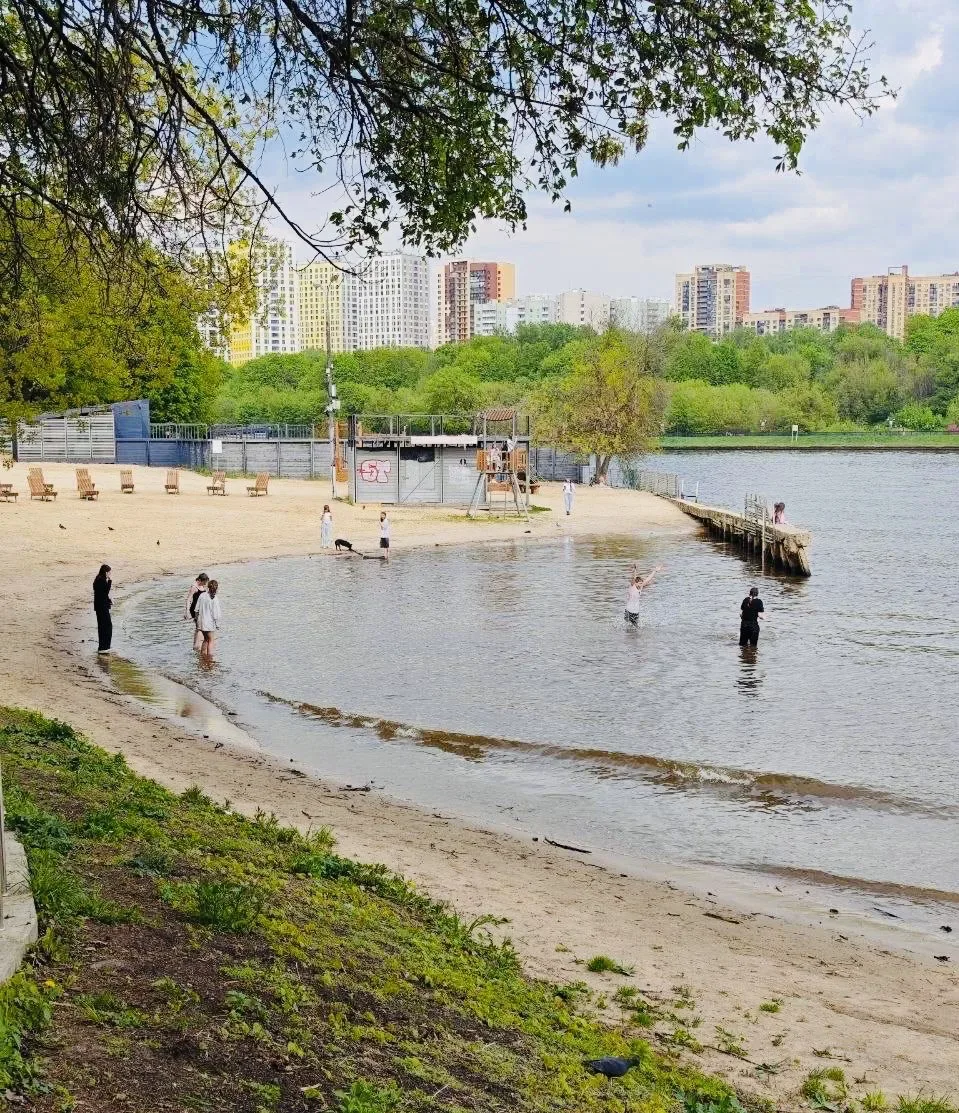 🏖 В Подмосковье начали готовить пляжи к летнему сезону  Сейчас специалисты обследуют водоёмы и приво