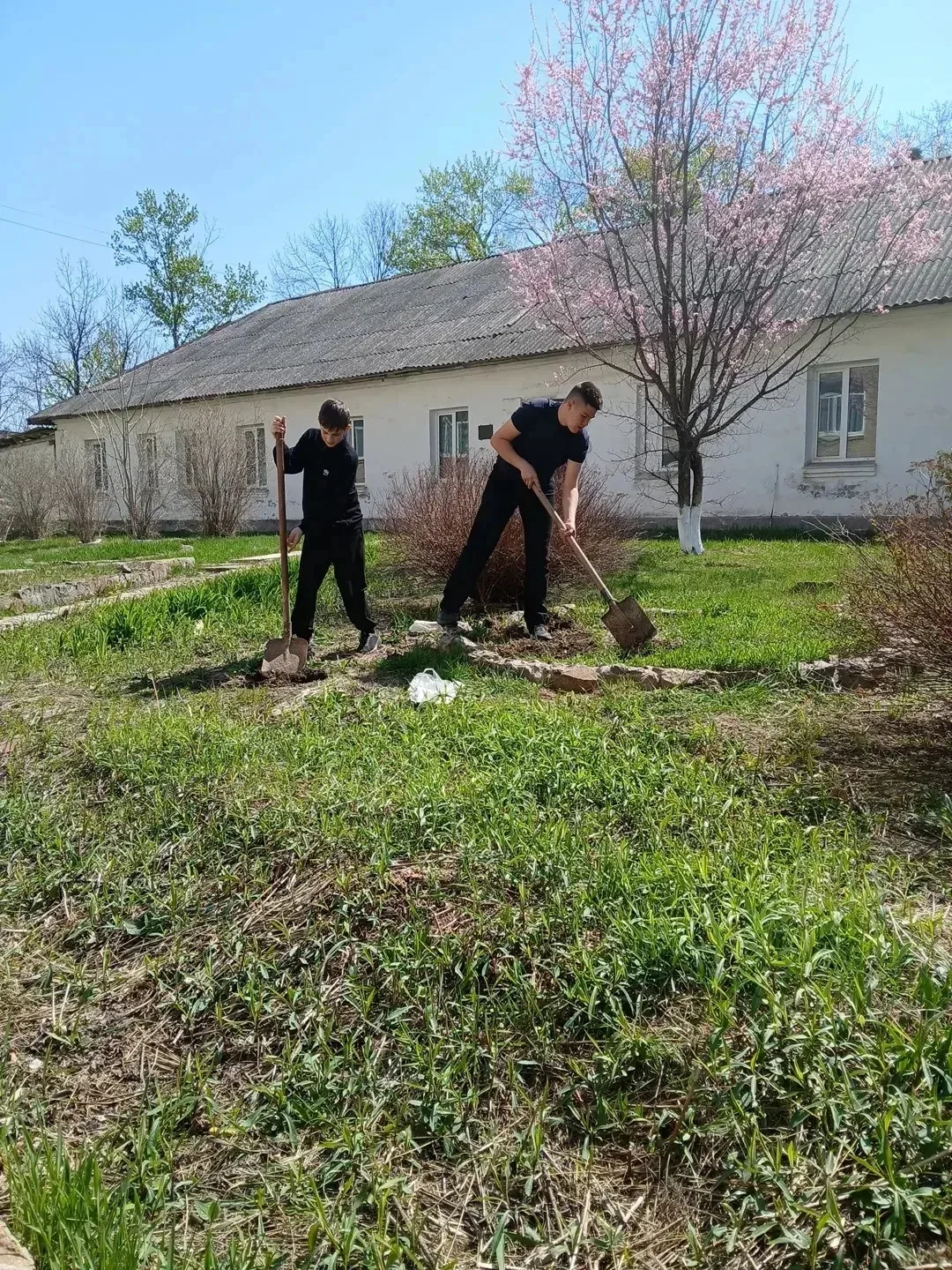 🌸🌼🌺 1 Мая - День Весны и Труда: вместе творим красоту!  В преддверии этого  замечательного праздника