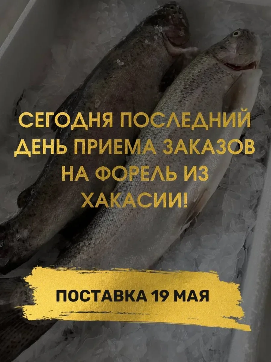 ПОСЛЕДНИЙ ДЕНЬ ПРИЕМА ЗАКАЗОВ НА ОХЛАЖДЕННУЮ ФОРЕЛЬ  🐟Дата поставки 19 мая🐟  ▪️ Форель охлаждённая н