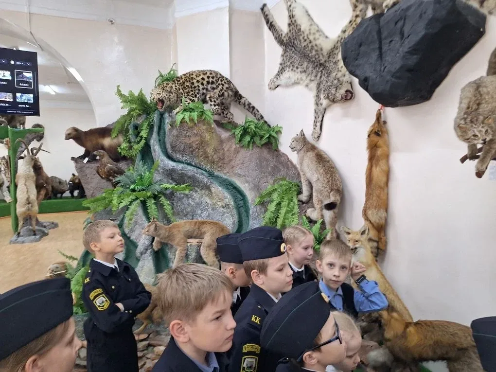 Сегодня ученики 1Б и кадеты 2Б под руководством классного руководителя Ларионовой Ольги Васильевны и