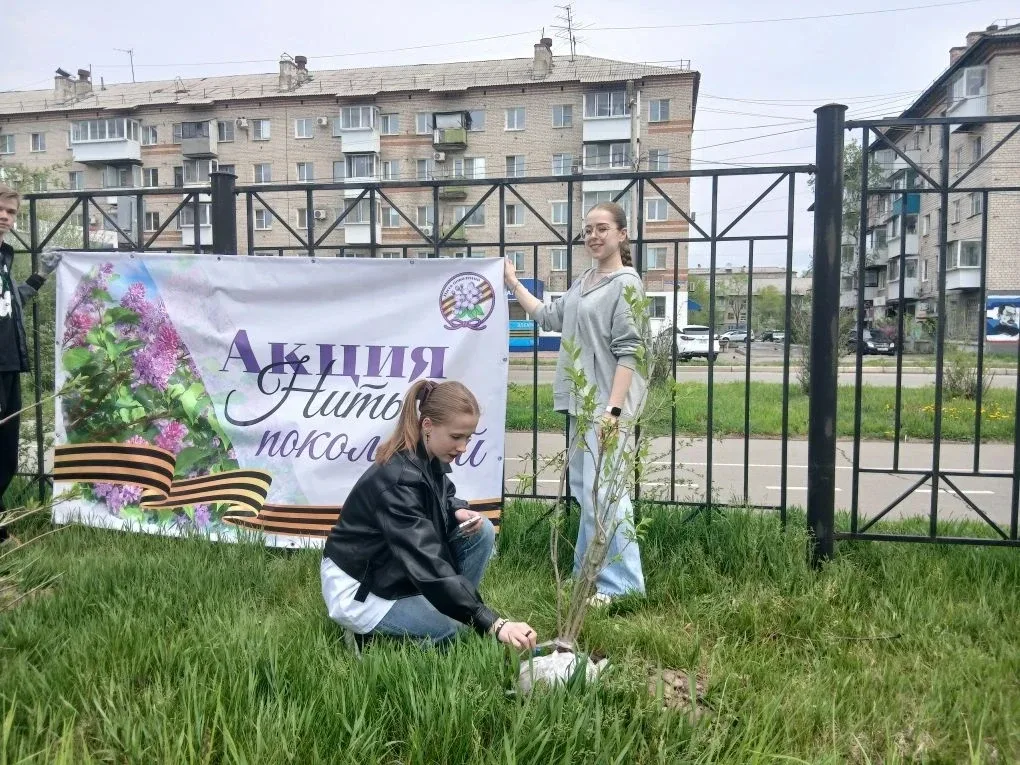 🌿 «Нить поколений»: как сирень объединяет лицей  В нашем лицее прошла трогательная экологическая акц