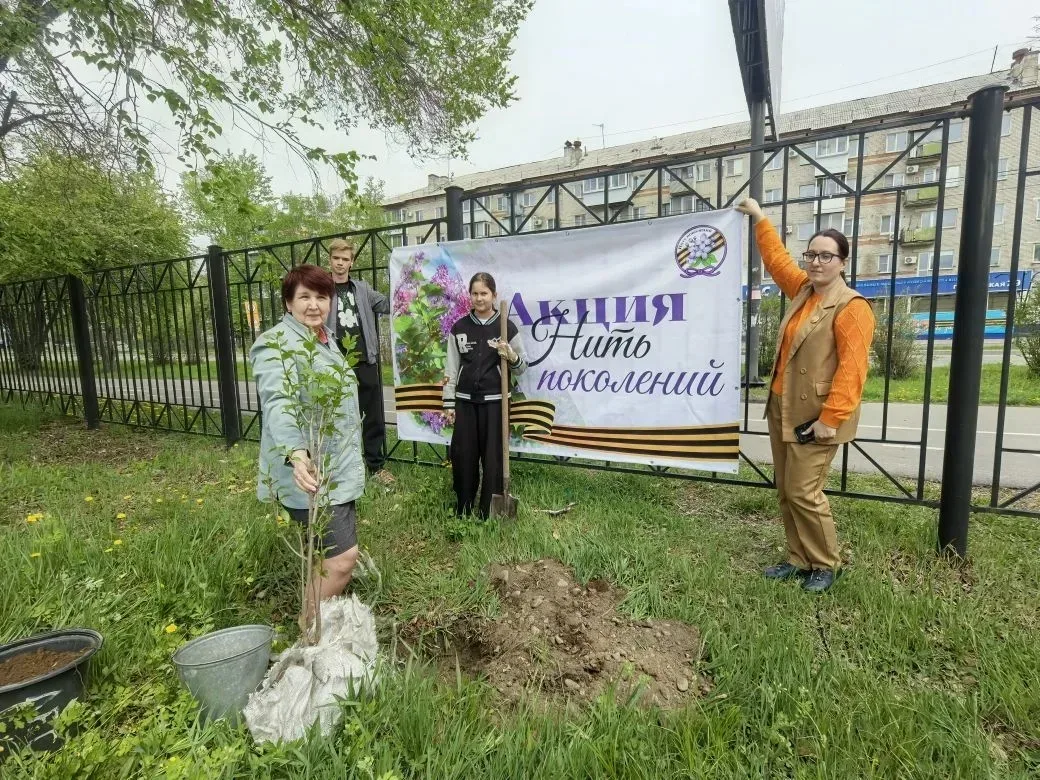🌿 «Нить поколений»: как сирень объединяет лицей  В нашем лицее прошла трогательная экологическая акц